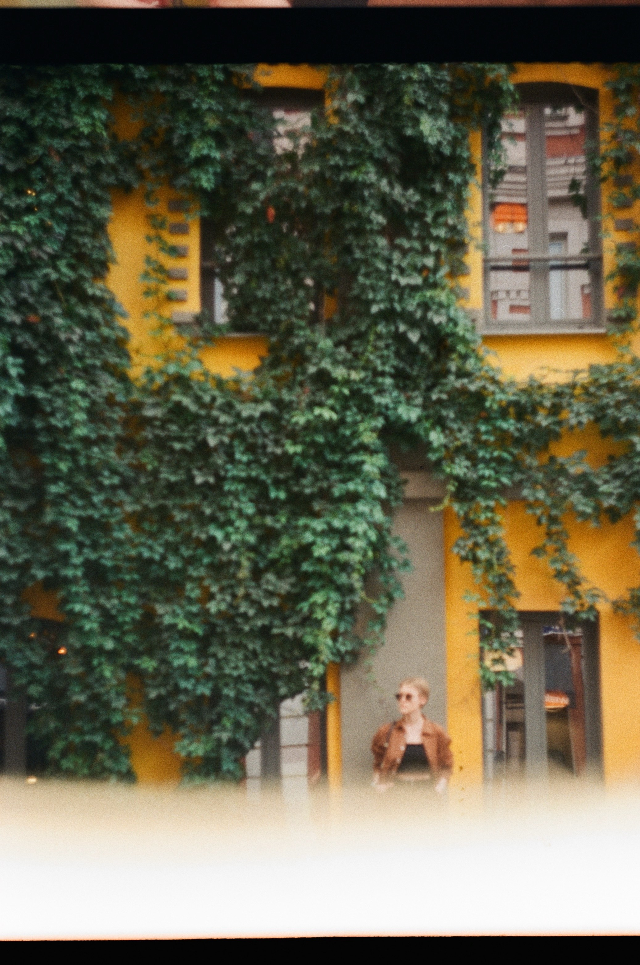 Пленка. Фотограф Синицына Анна