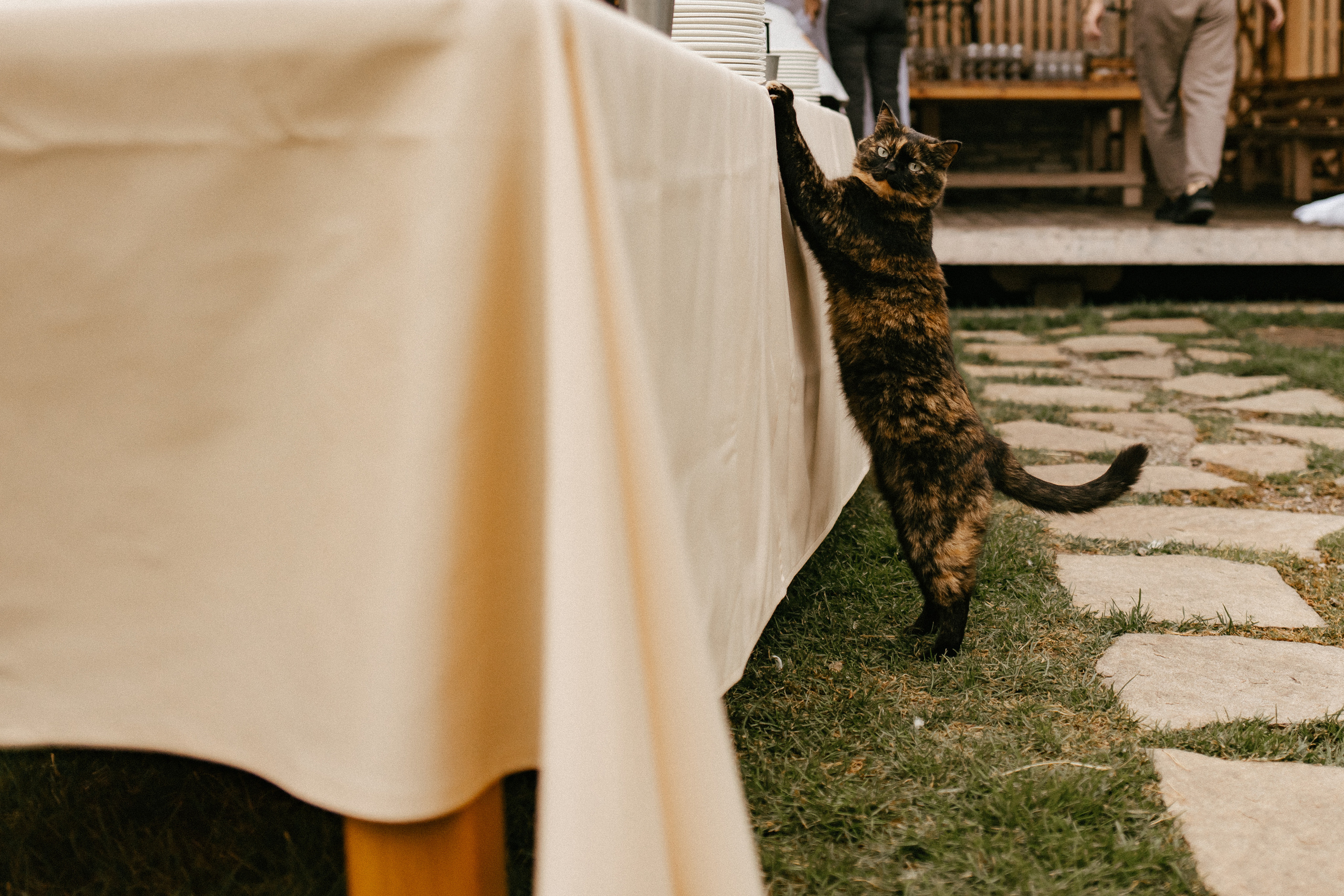 Семейный угар. Фотограф Андрей Куськало