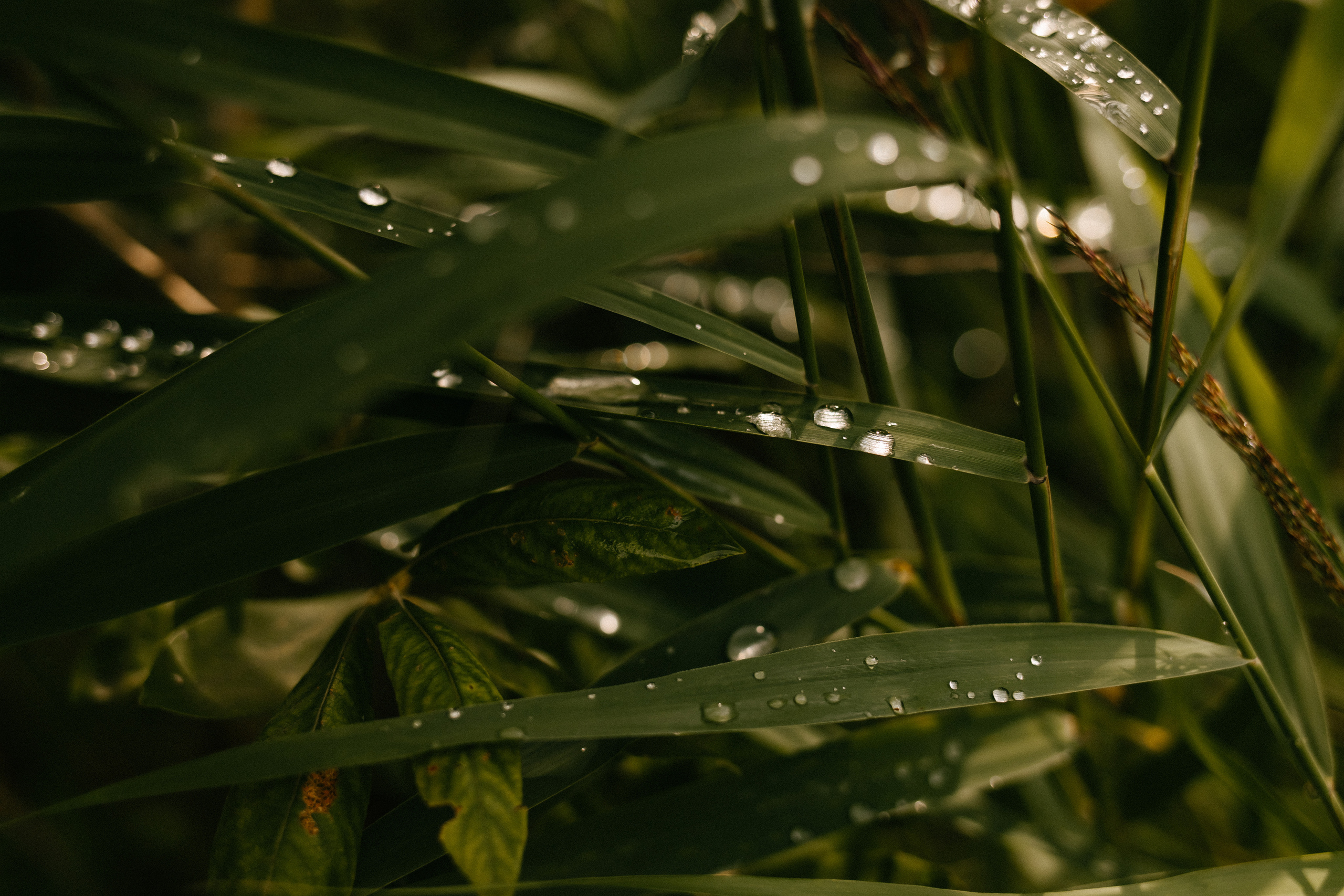 Штормовое предупреждение. Фотограф Андрей Куськало