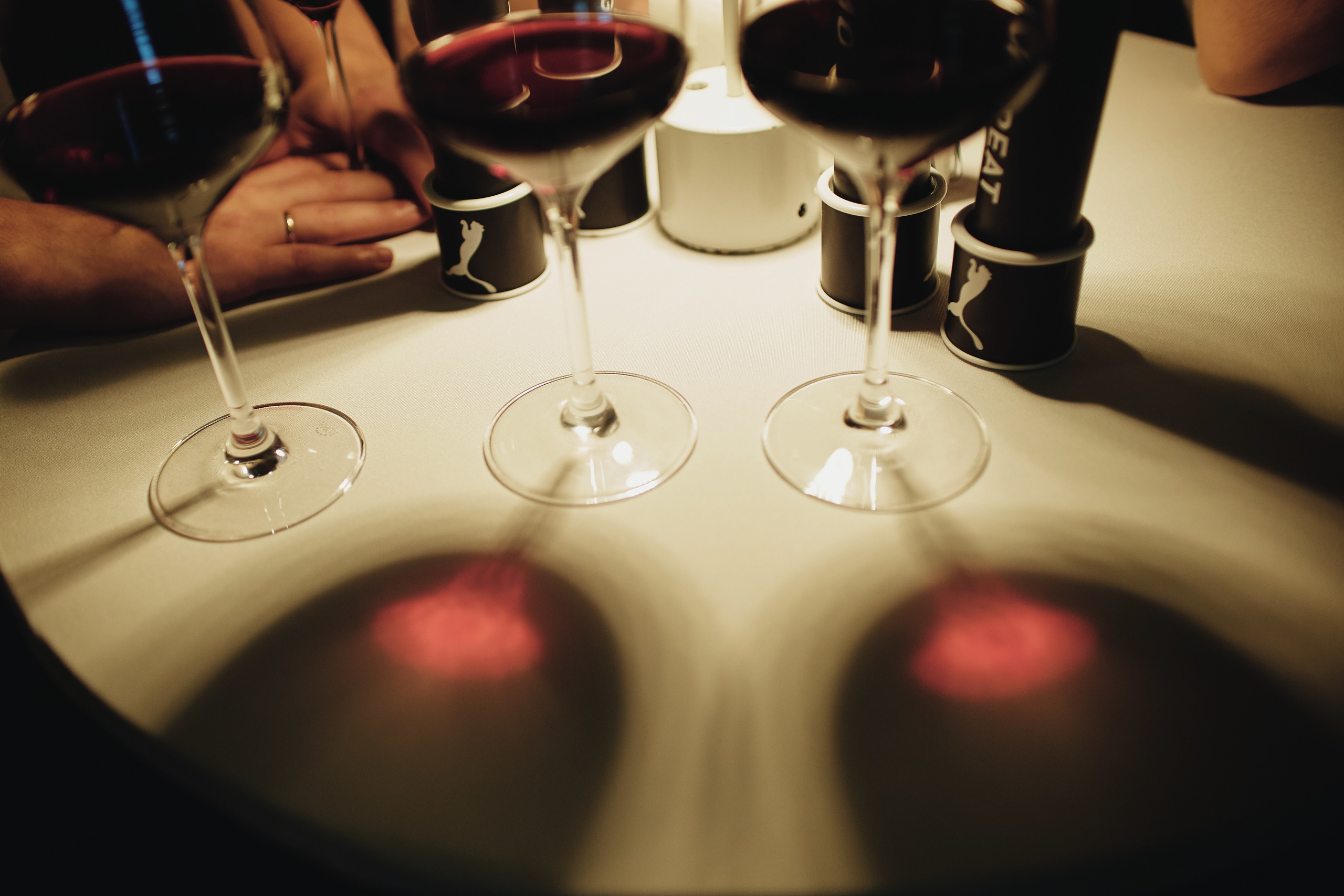 Training for PUMA store directors. Photographer Nikita Starodubtsev Serbia, Montenegro, Georgia, Turkey