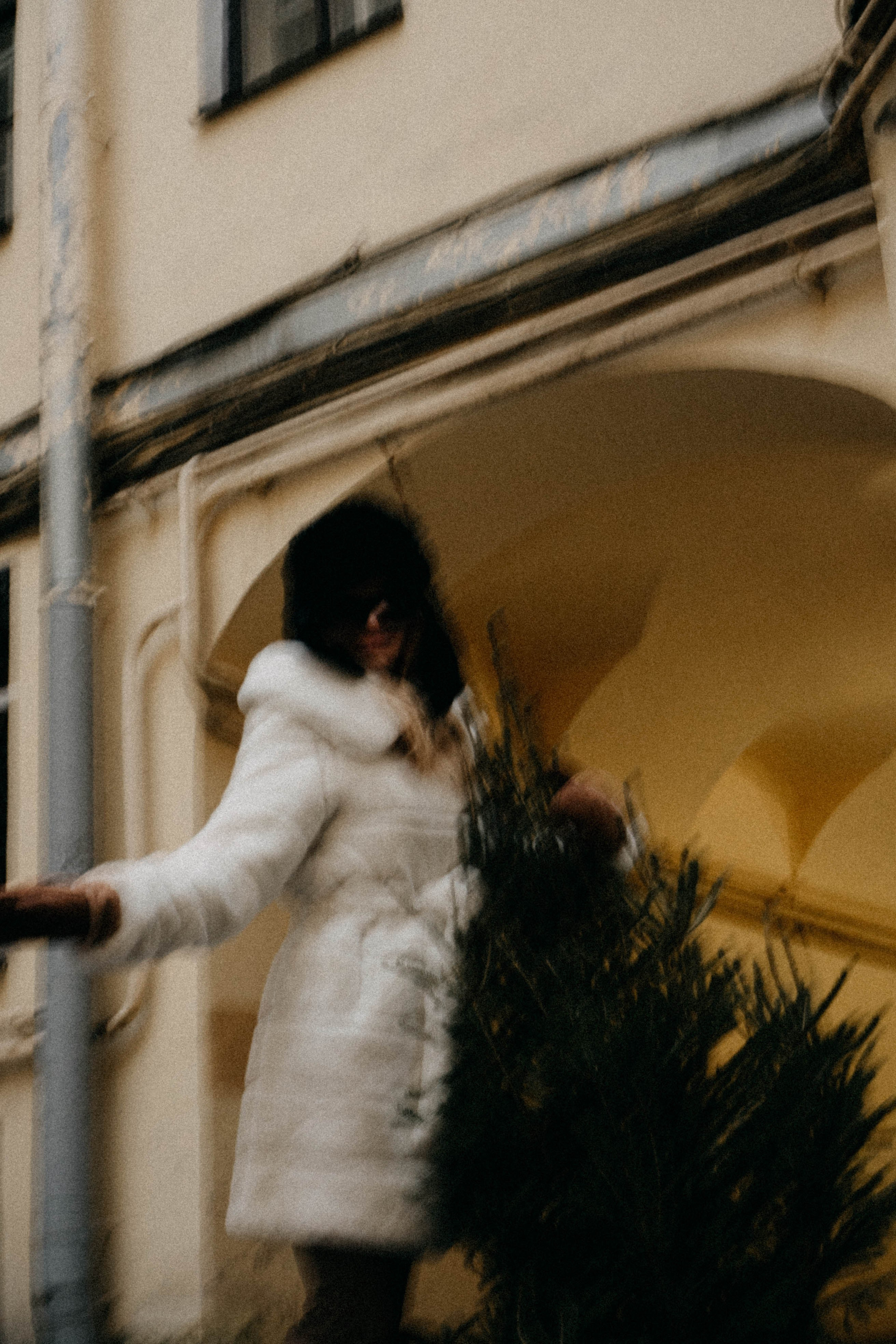 Новогодняя. Профессиональный фотограф, Санкт-Петербург — Виктория Богомолова