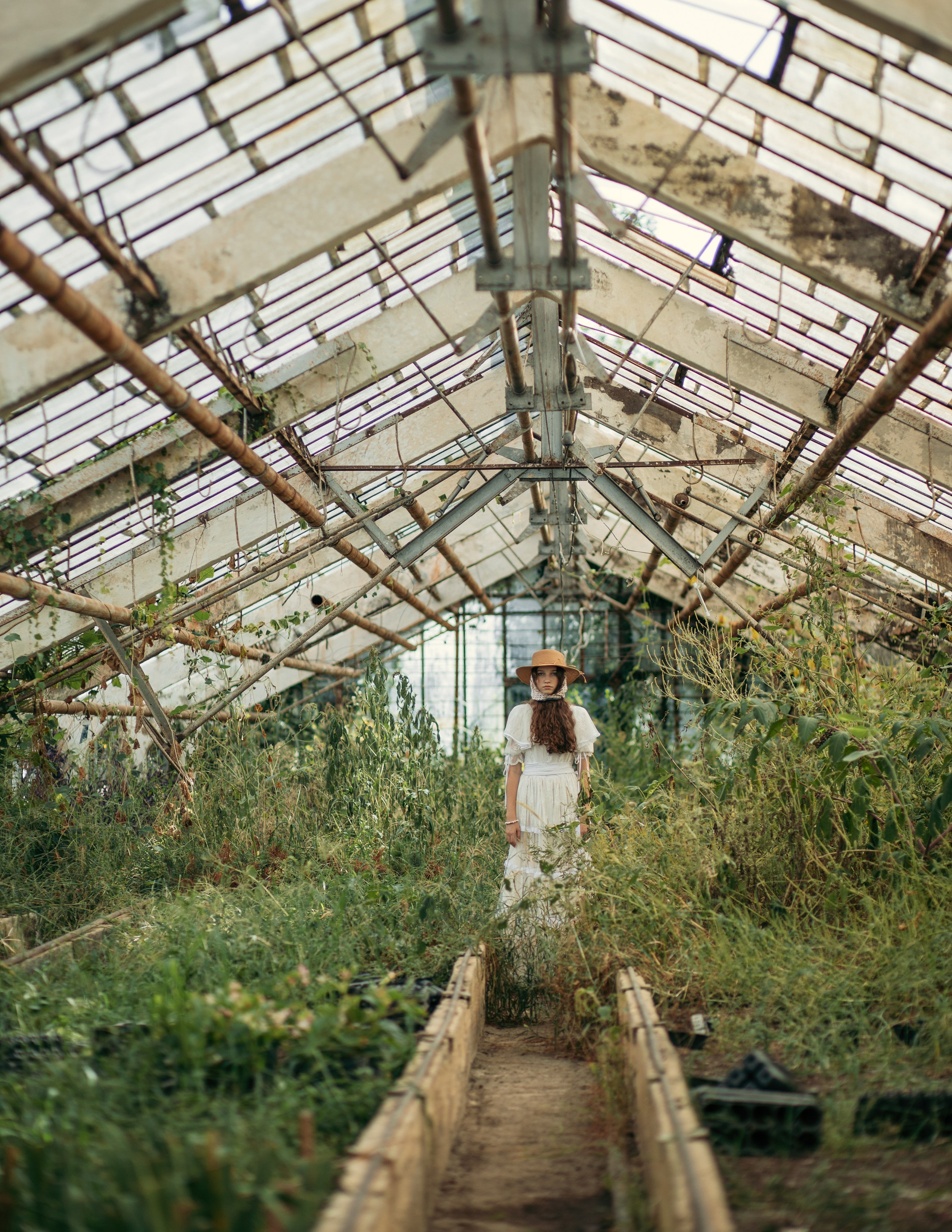 Теплица мацеста. Фотограф Сочи Татьяна Зорина