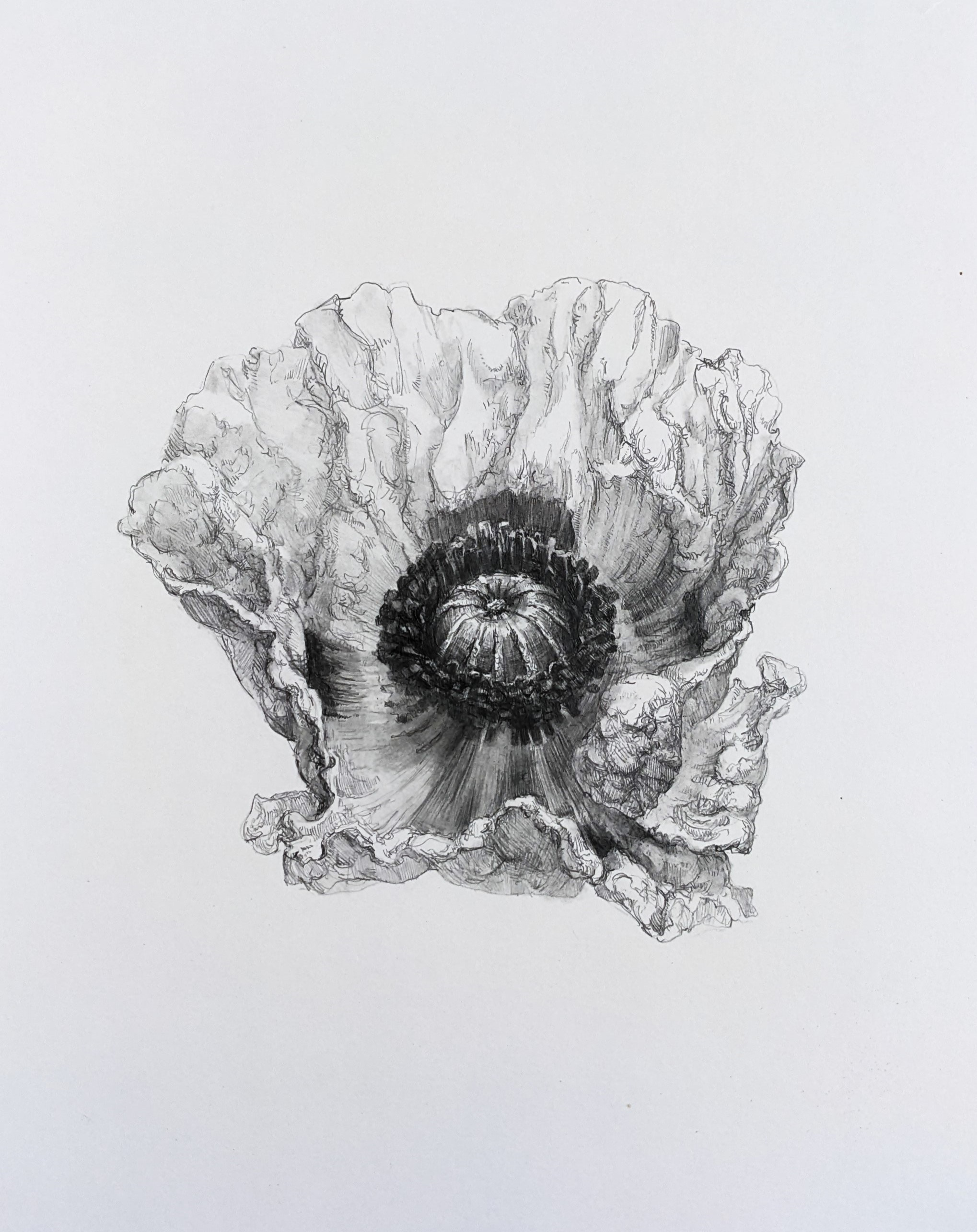 Nadezhda Polomoshnova, fine artist in Charleston