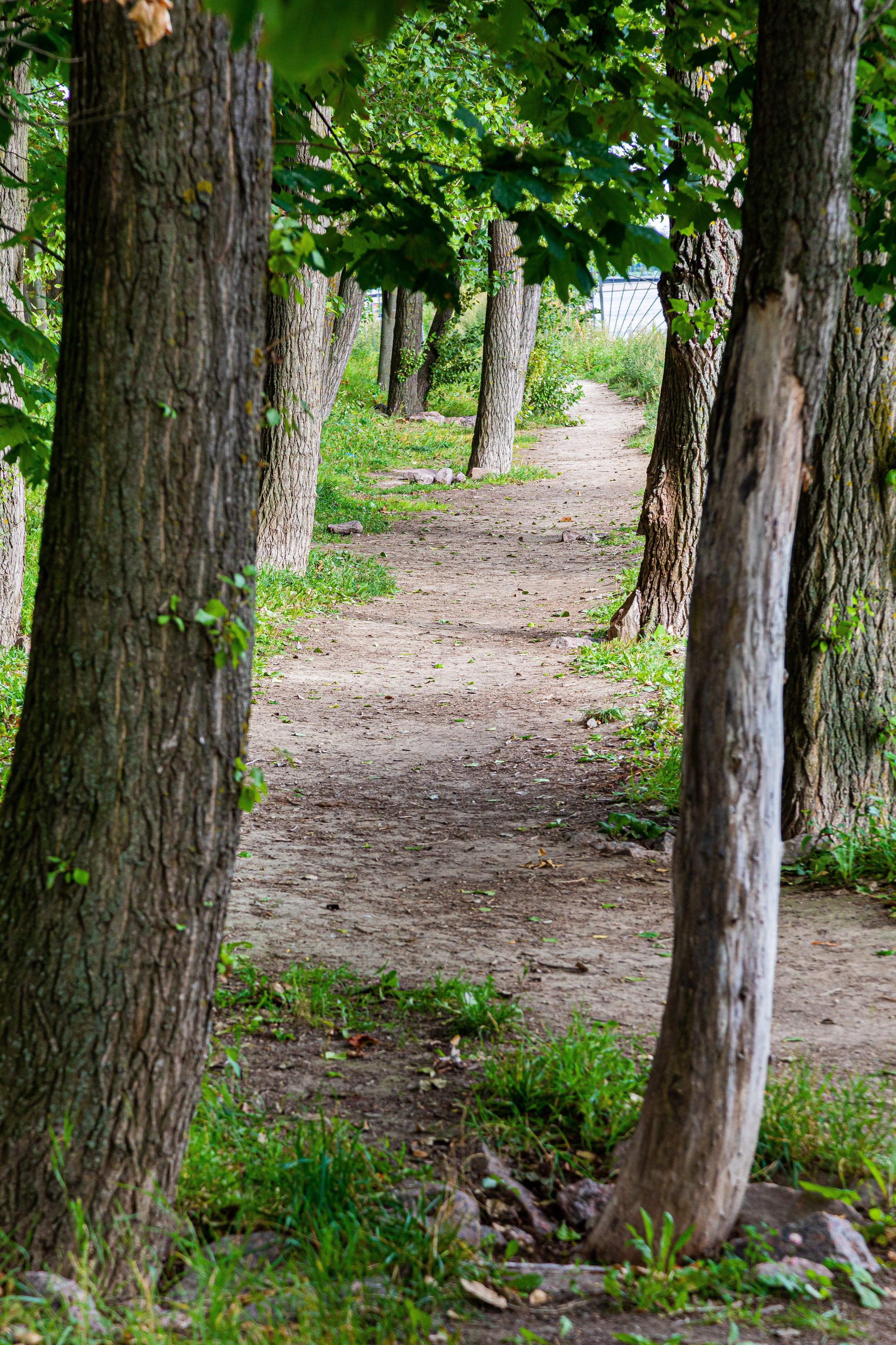 Квартира на продажу. Главная