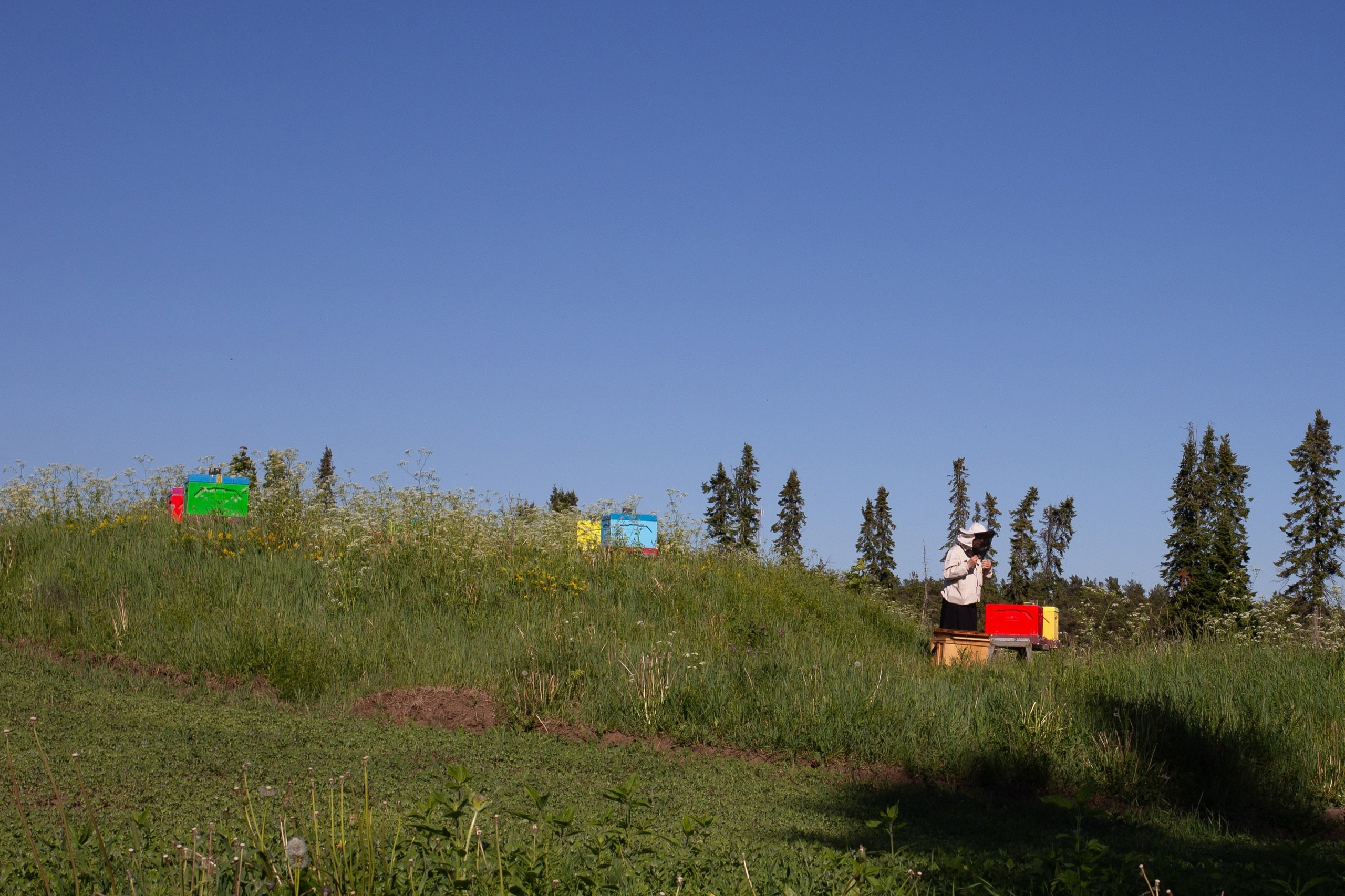 Сортавала — Остров Валаам. Фотограф в Санкт-Петербурге Чумаков Семен