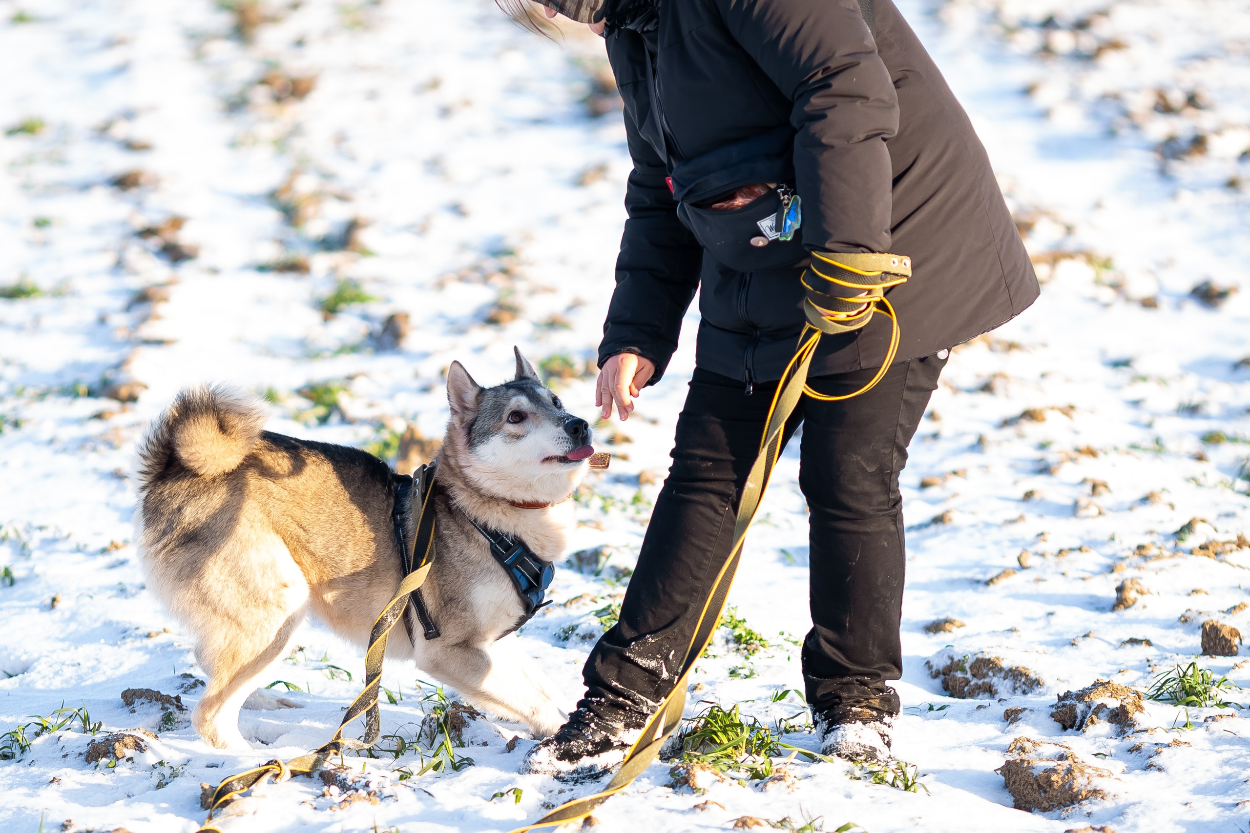 Petshop Забота. Фотограф в Санкт-Петербурге Чумаков Семен