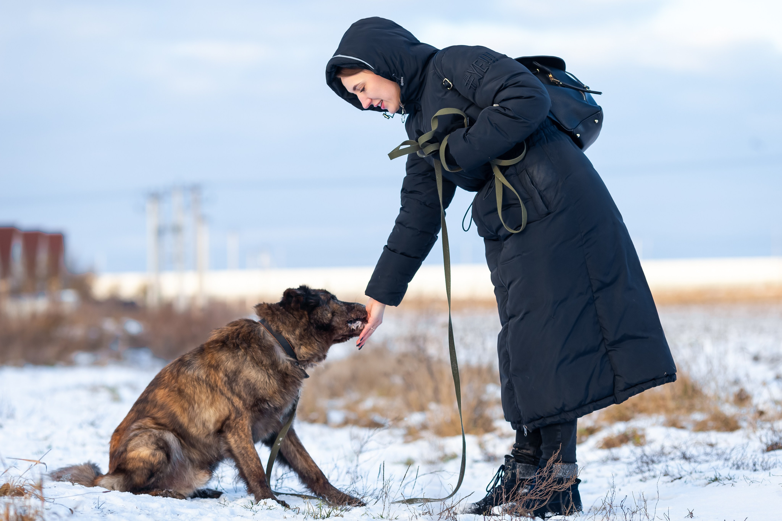 Petshop Забота. Фотограф в Санкт-Петербурге Чумаков Семен