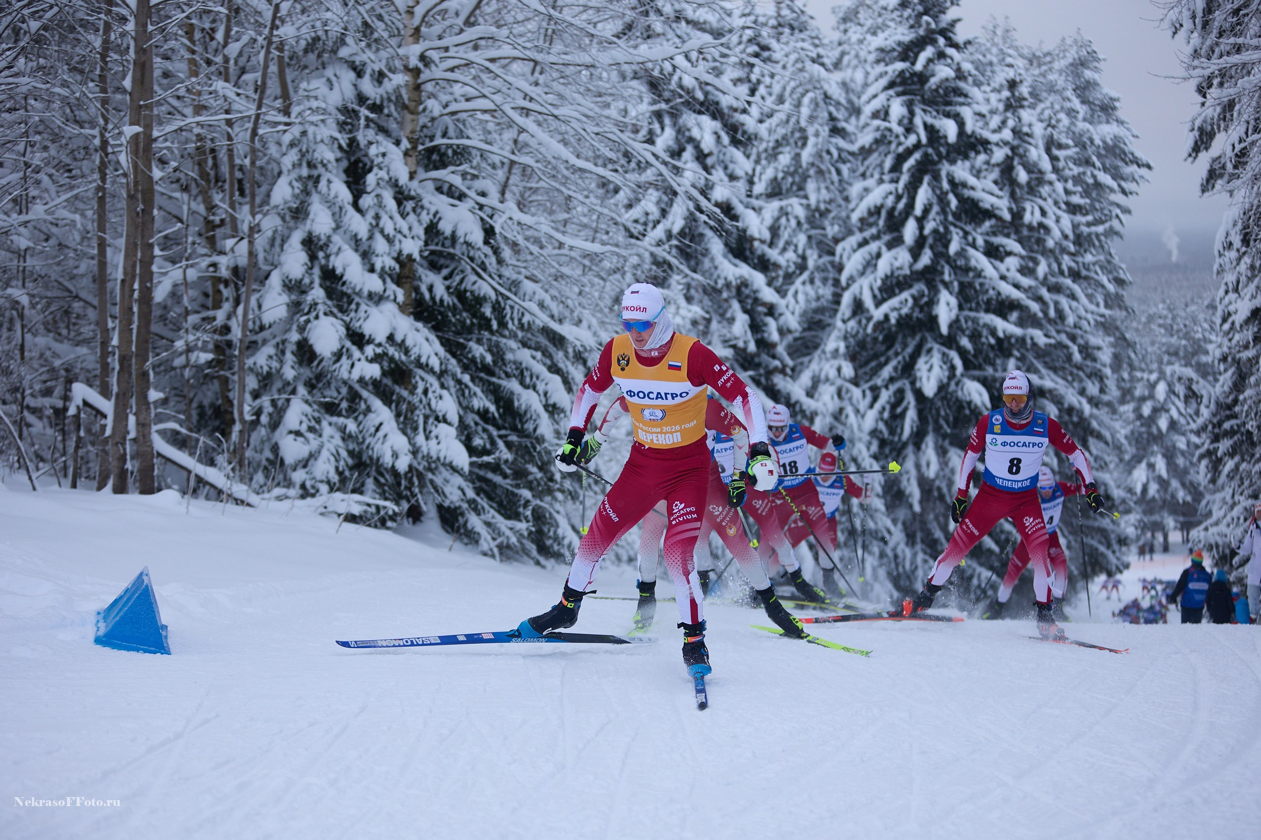 Кубок России по Лыжным гонкам. Спортивный фотограф Некрасов Денис