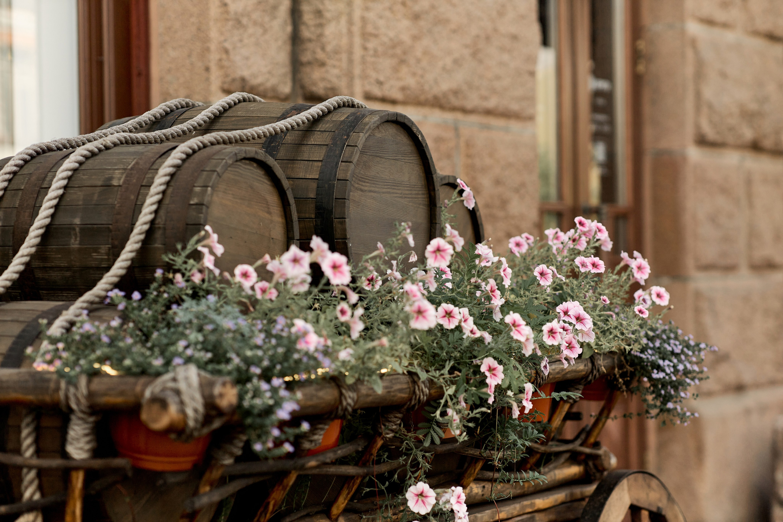 Наш День. Свадебный фотограф в Красноярске Владимир Ятмасов