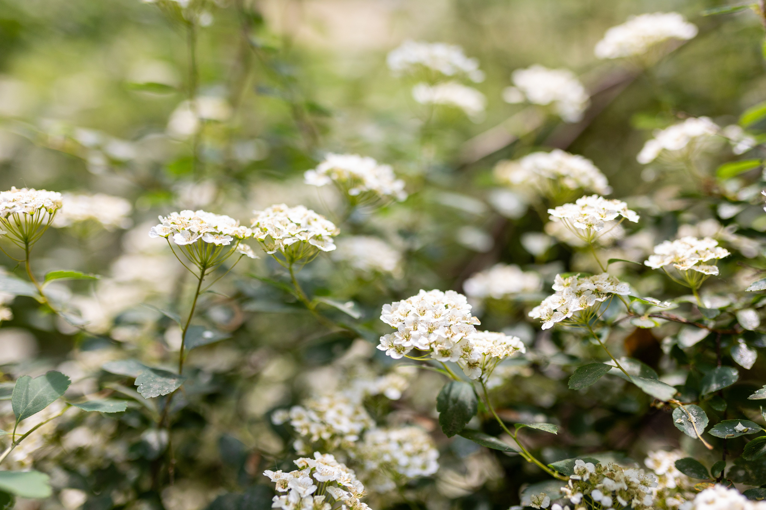 Мастер-класс от Аминосил. Александра Куликова фотограф, Москва