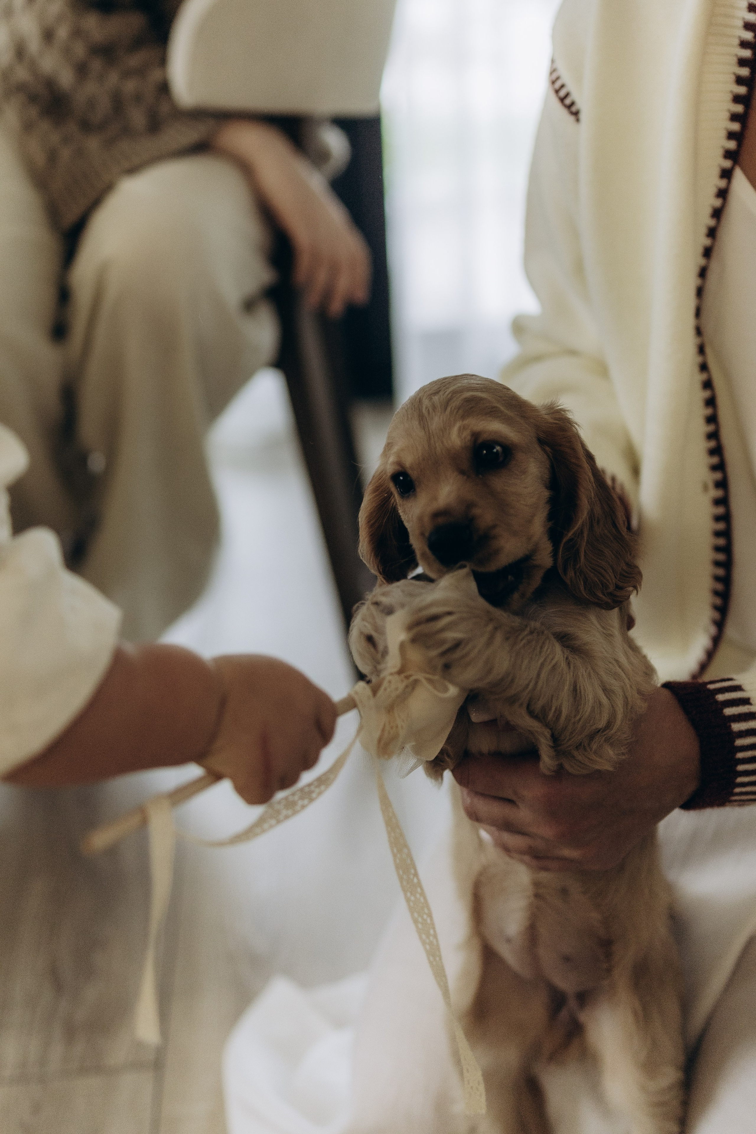 Мама и дочки. Фотограф Москва, Санкт-Петербург, Истра и МО — Анастасия Поверина