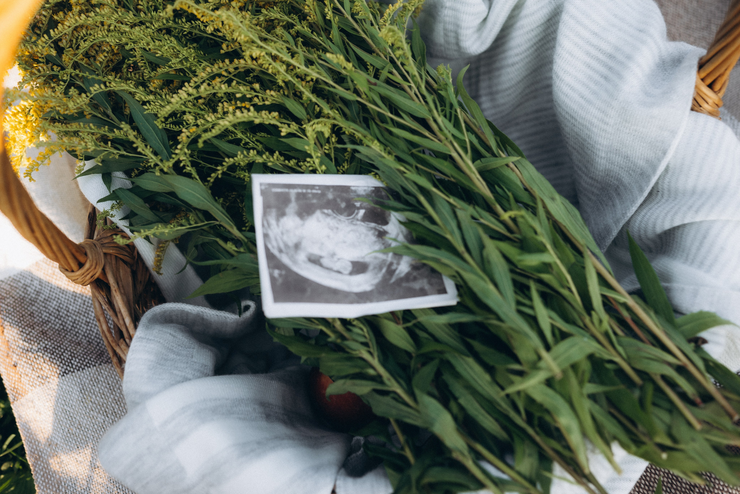 Юрий, Виктория и Рома. Семейный фотограф Юлия Власова