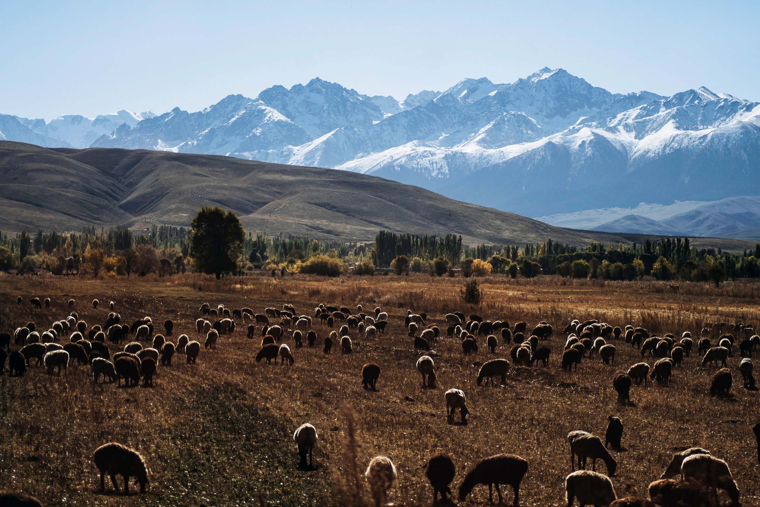 Кыргызстан. Iraogo