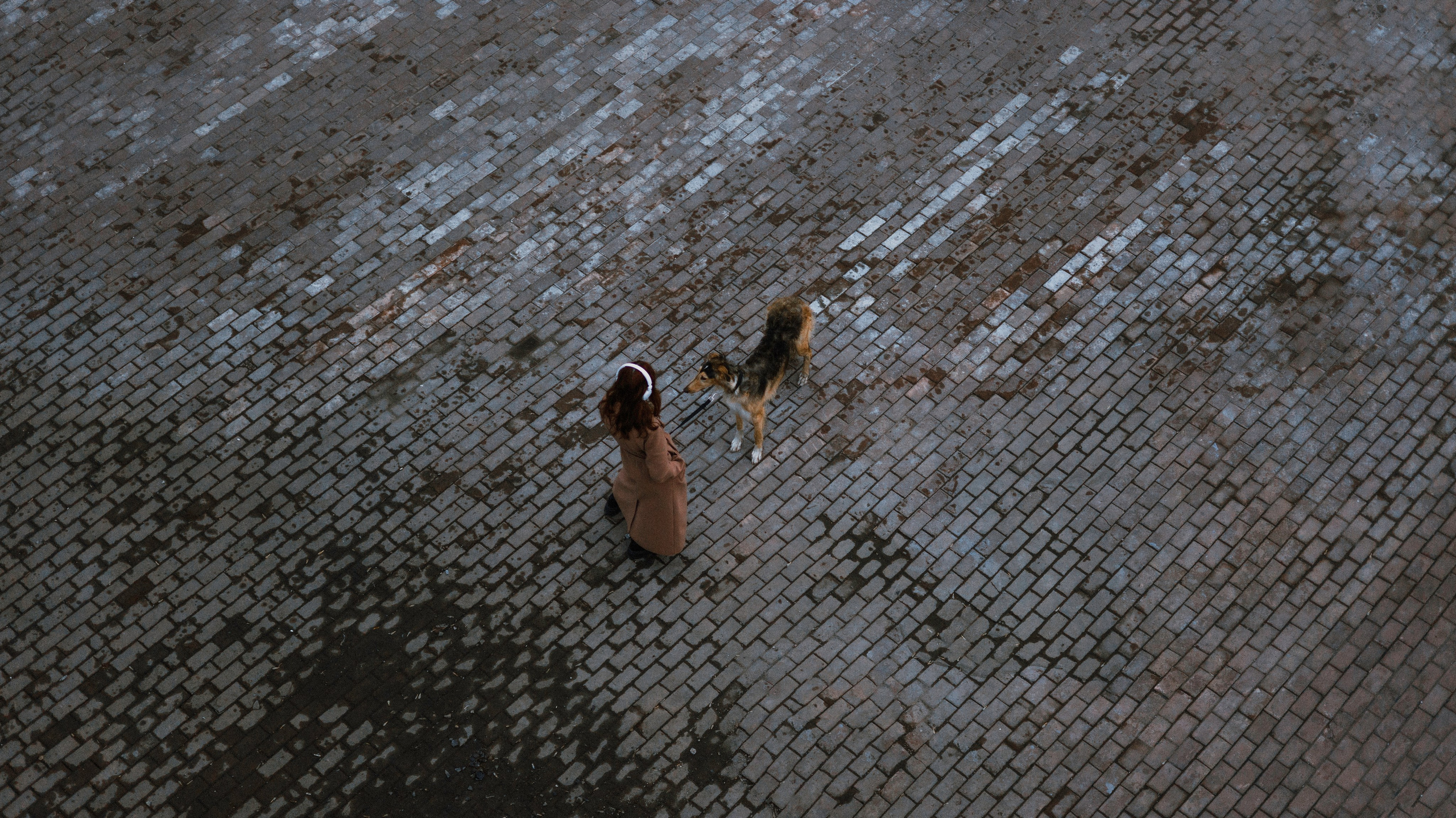 Алёна и Леви. Фотограф-анималист Богданова Полина