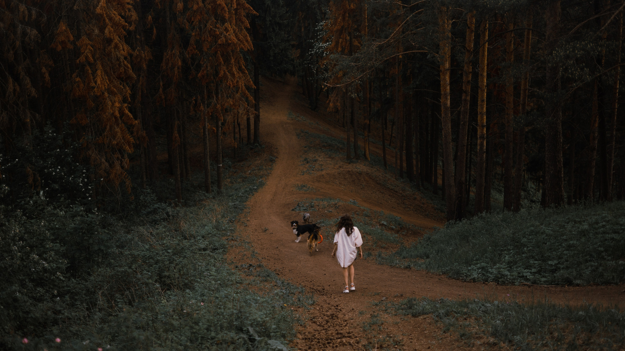 Настя, Шуня, Милка и Тигуан. Фотограф-анималист Богданова Полина