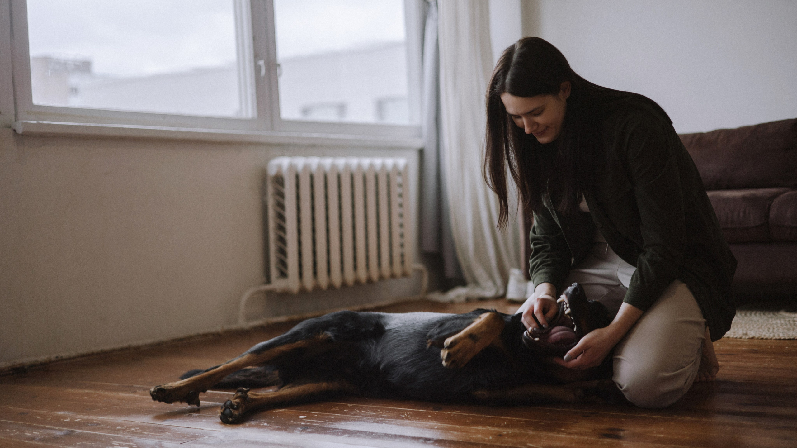 Полина и Зевс. Фотограф-анималист Богданова Полина