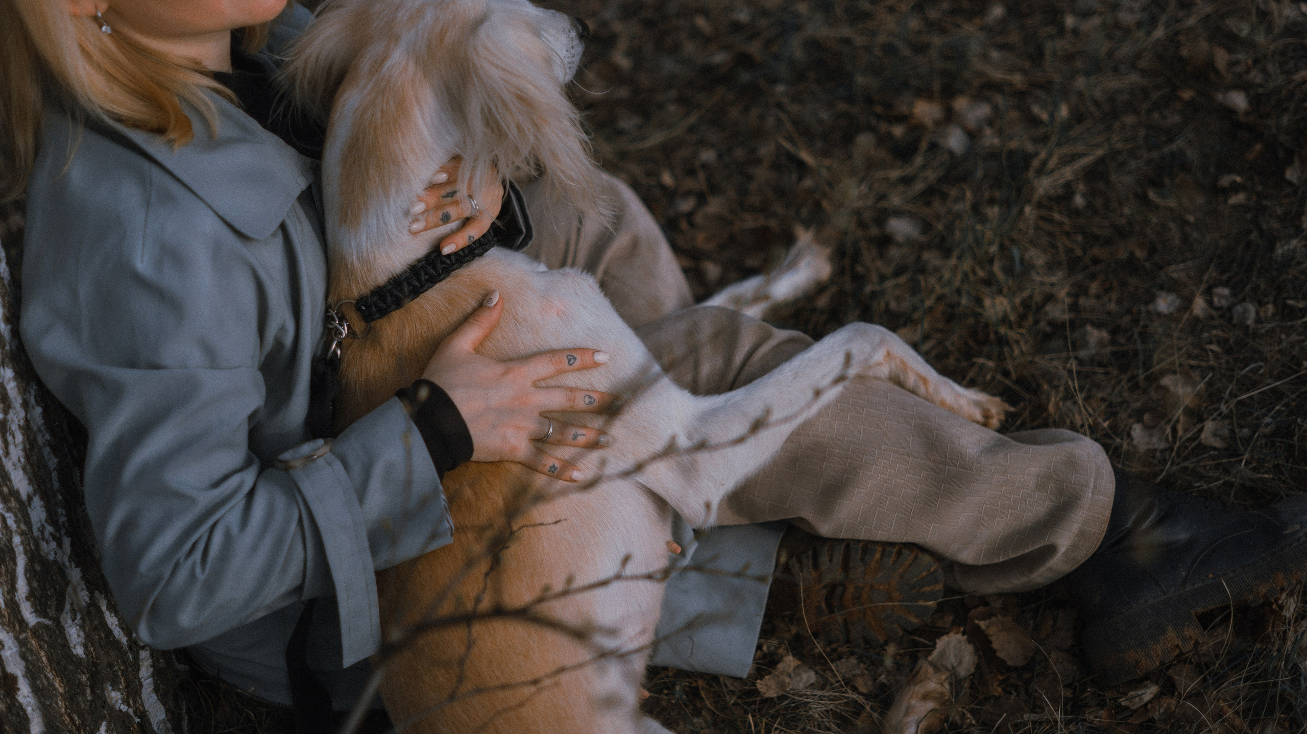 Настя и Бейда. Фотограф-анималист Богданова Полина