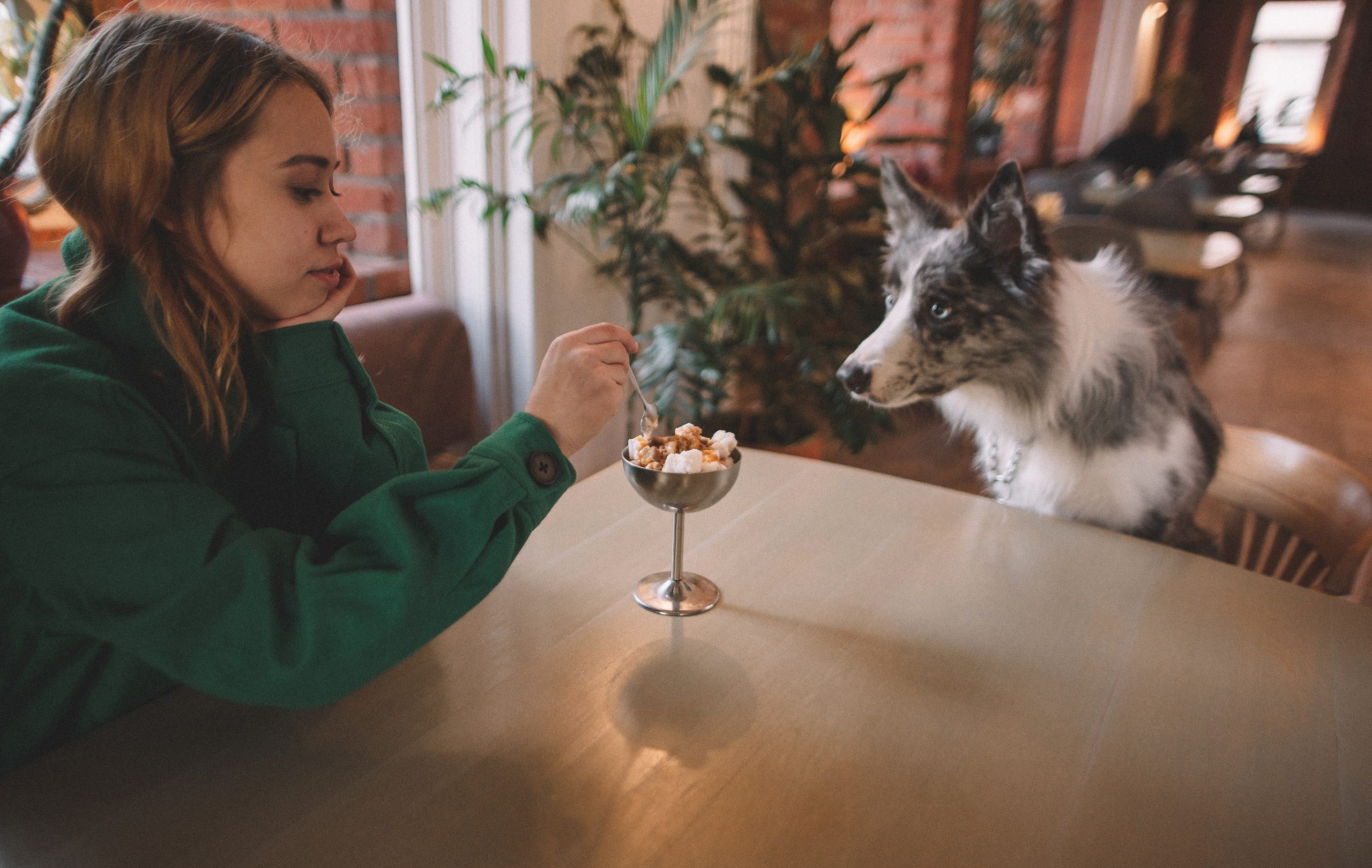 Диана и Робин. Фотограф-анималист Богданова Полина