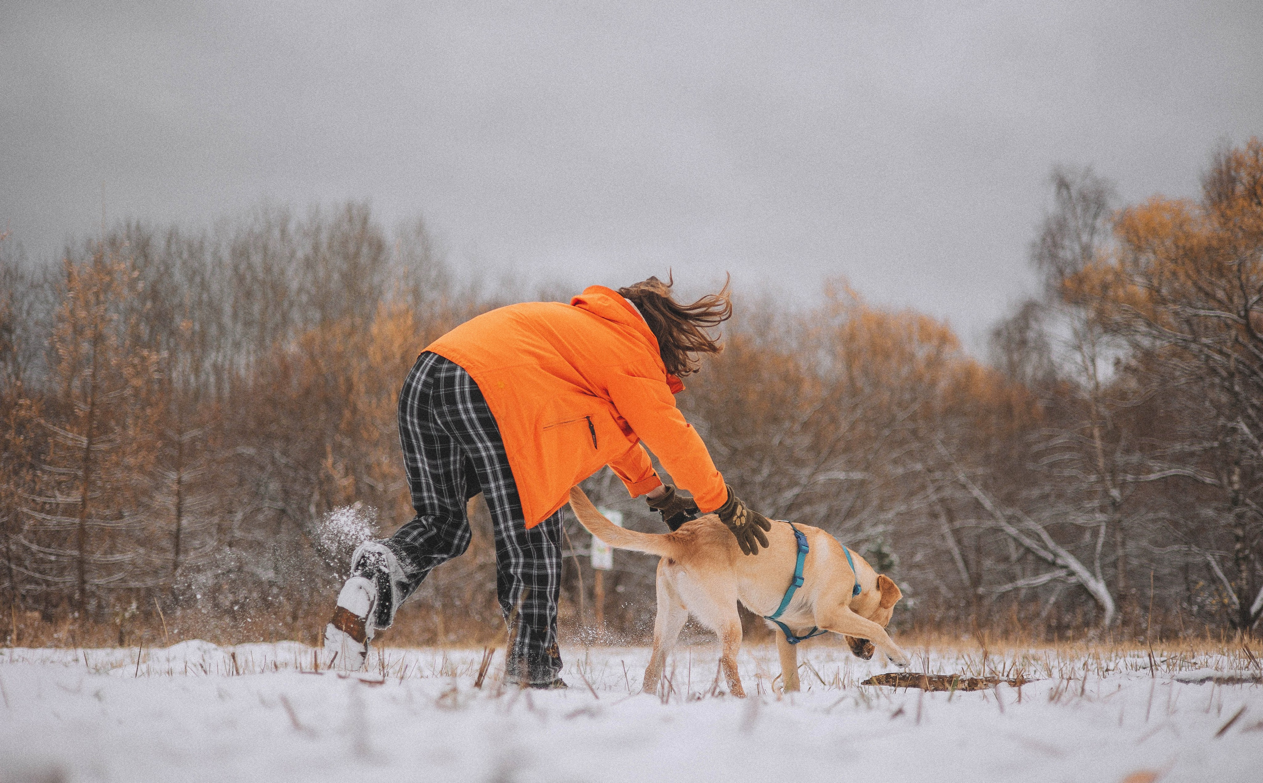 Маргарита и Варди. Фотограф-анималист Богданова Полина