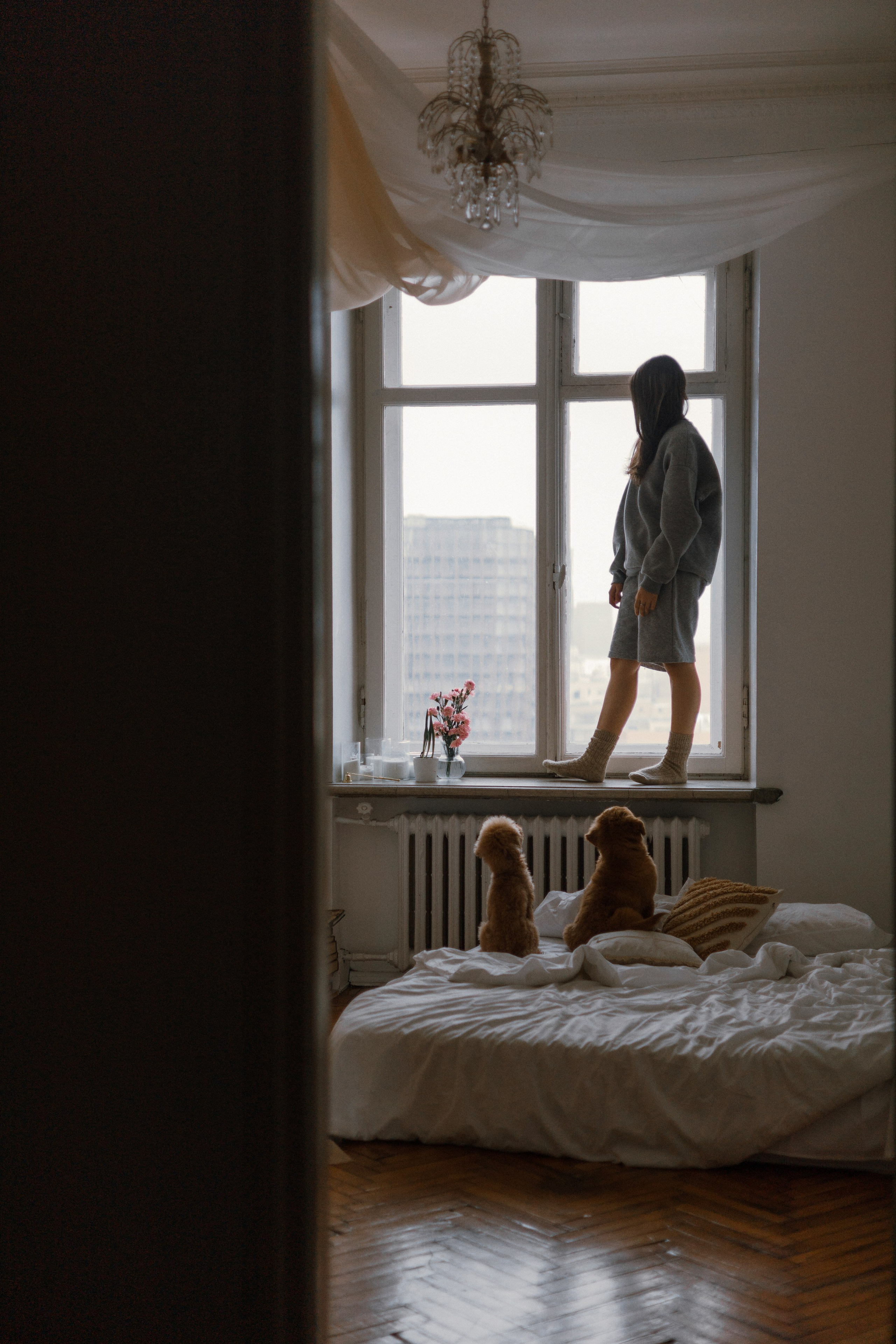 Маша, Одди и Нэвил. Фотограф-анималист Богданова Полина