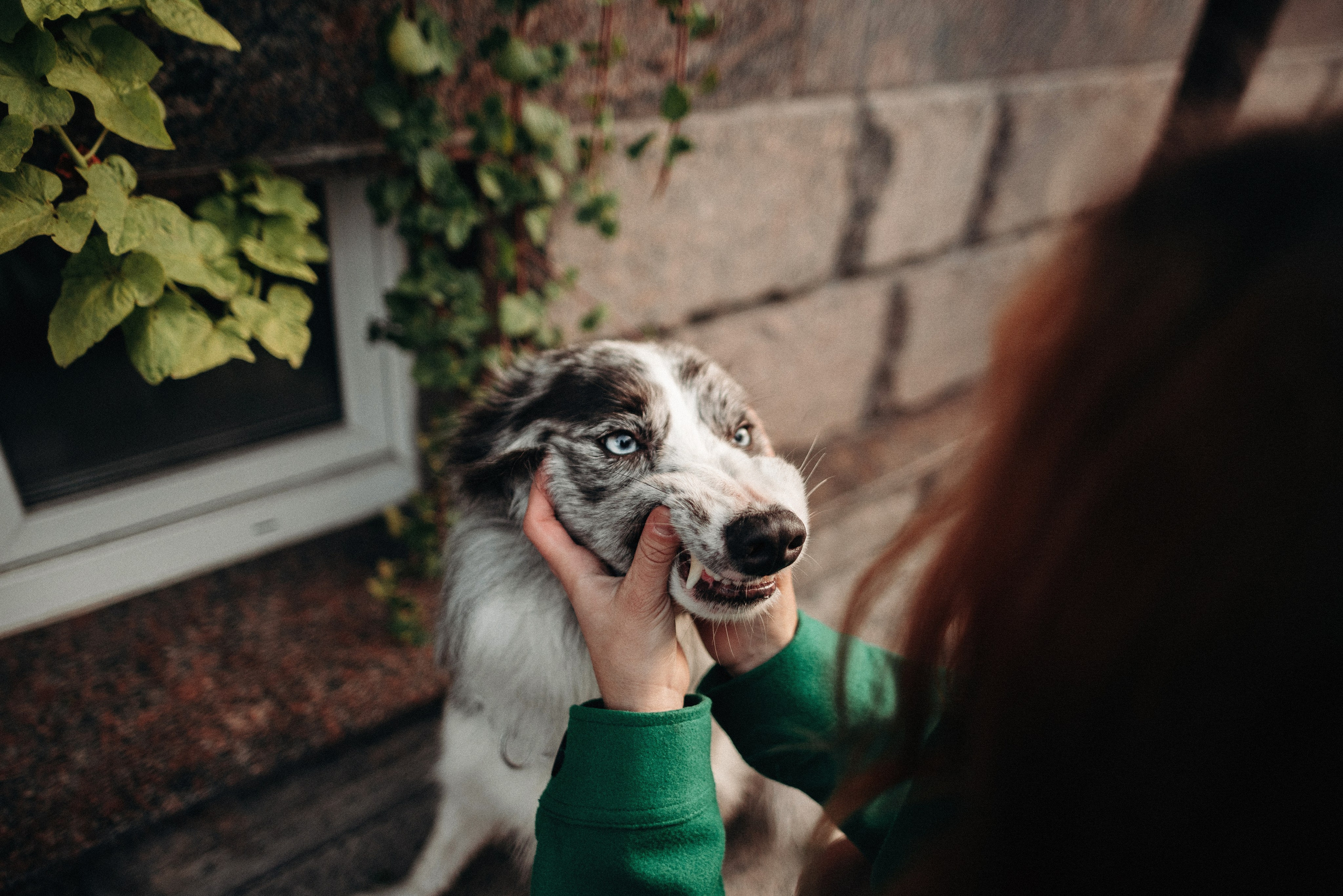 Диана и Робин. Фотограф-анималист Богданова Полина