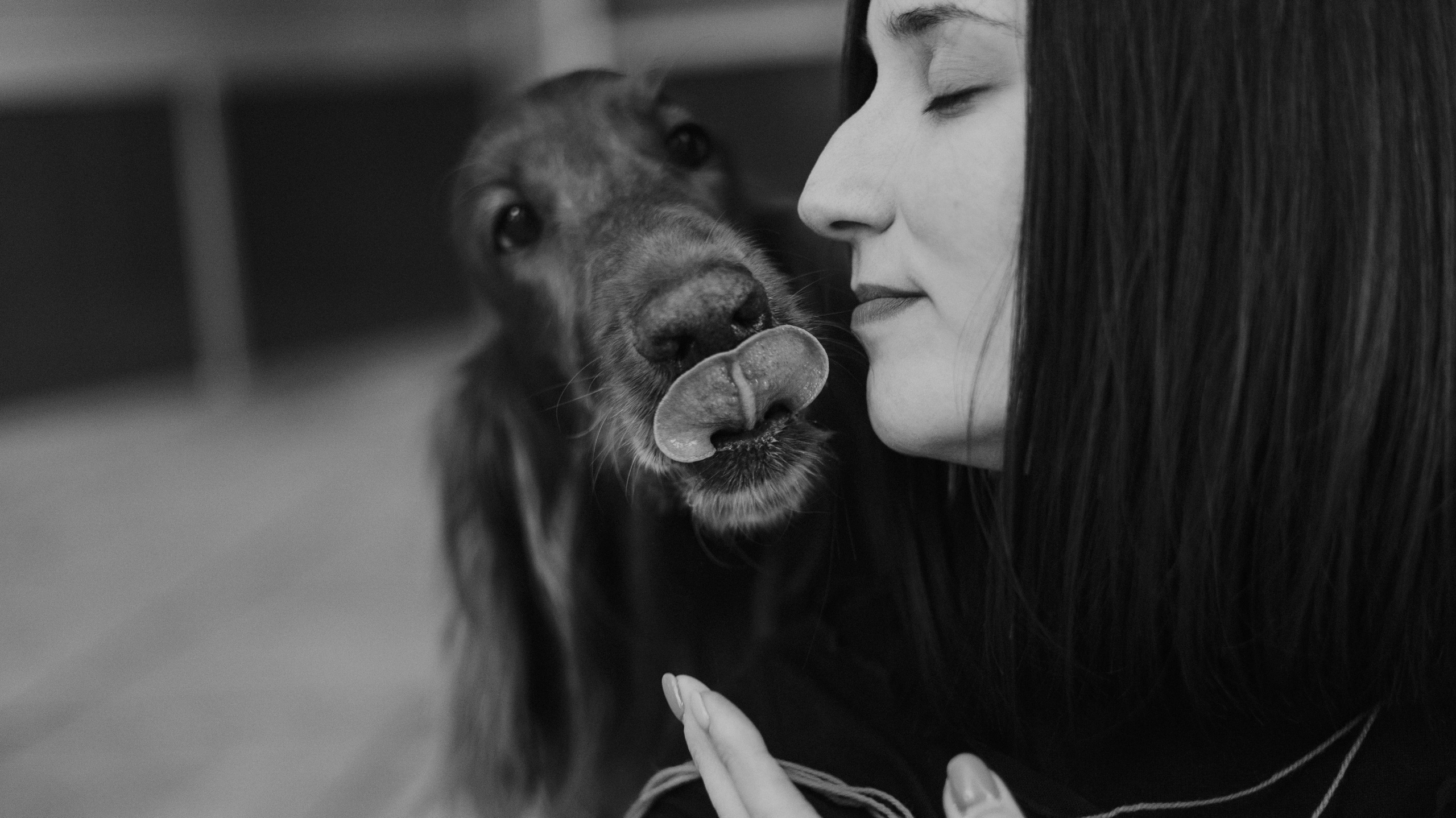 Маша и Лика. Фотограф-анималист Богданова Полина