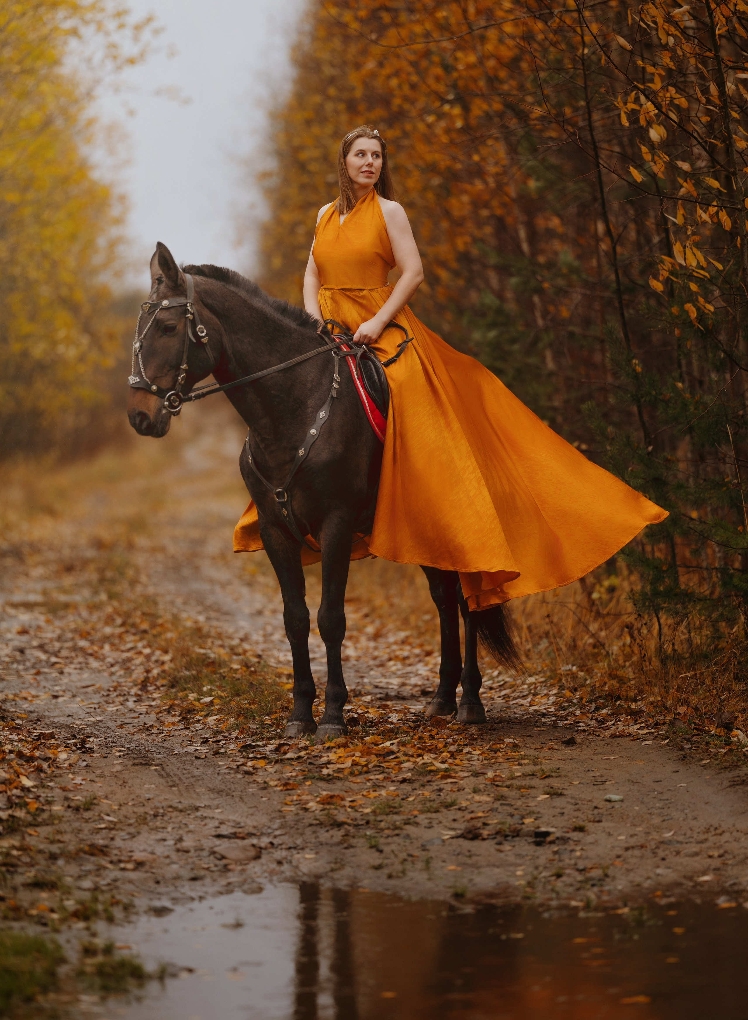 Аренда лошадей для фотосессии в Петрозаводске. Фотограф Варвара Ермоленко