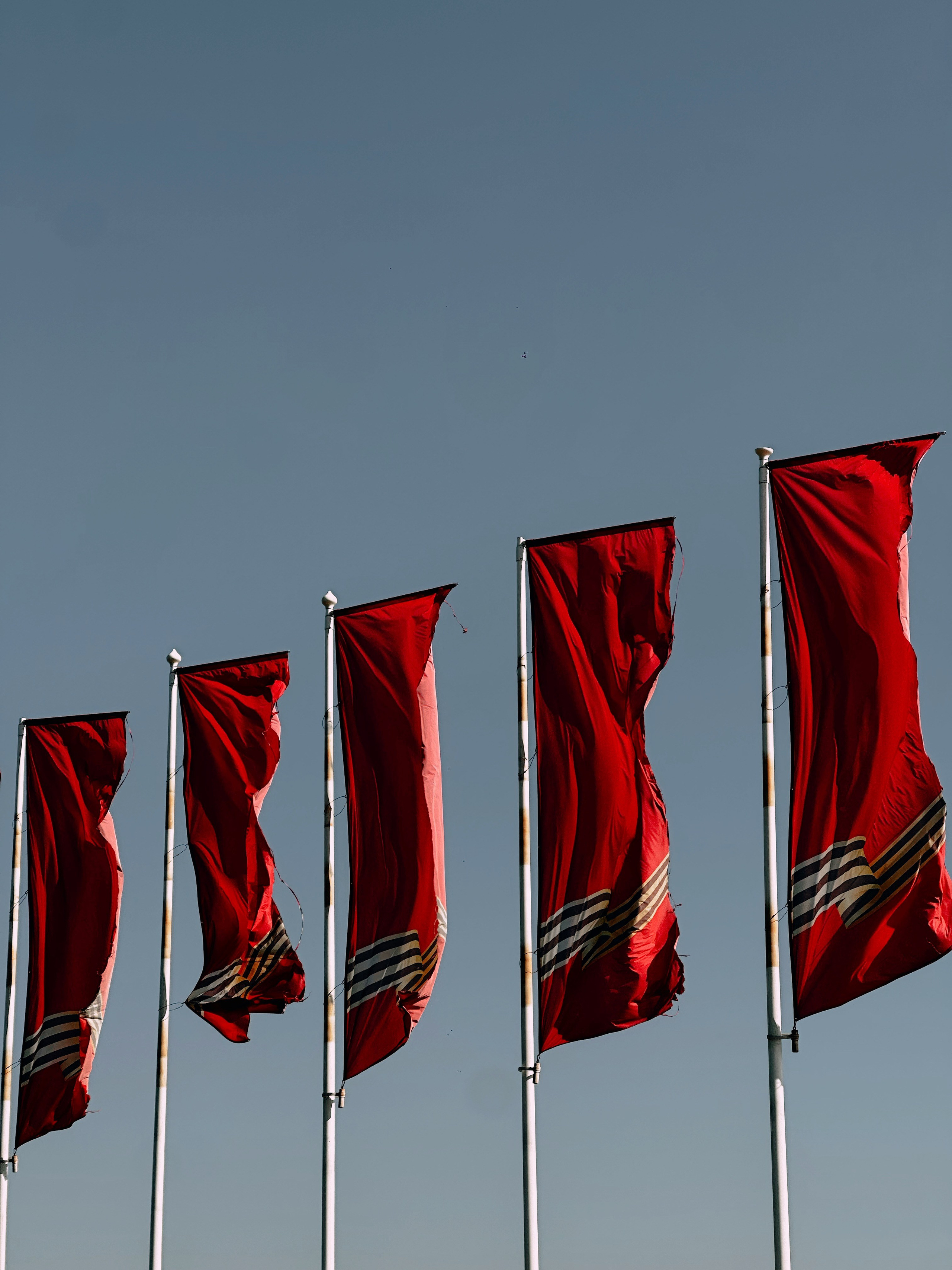 БЛАГОТВОРИТЕЛЬНЫЙ ПРОЕКТ «ВЕРНИСЬ!»