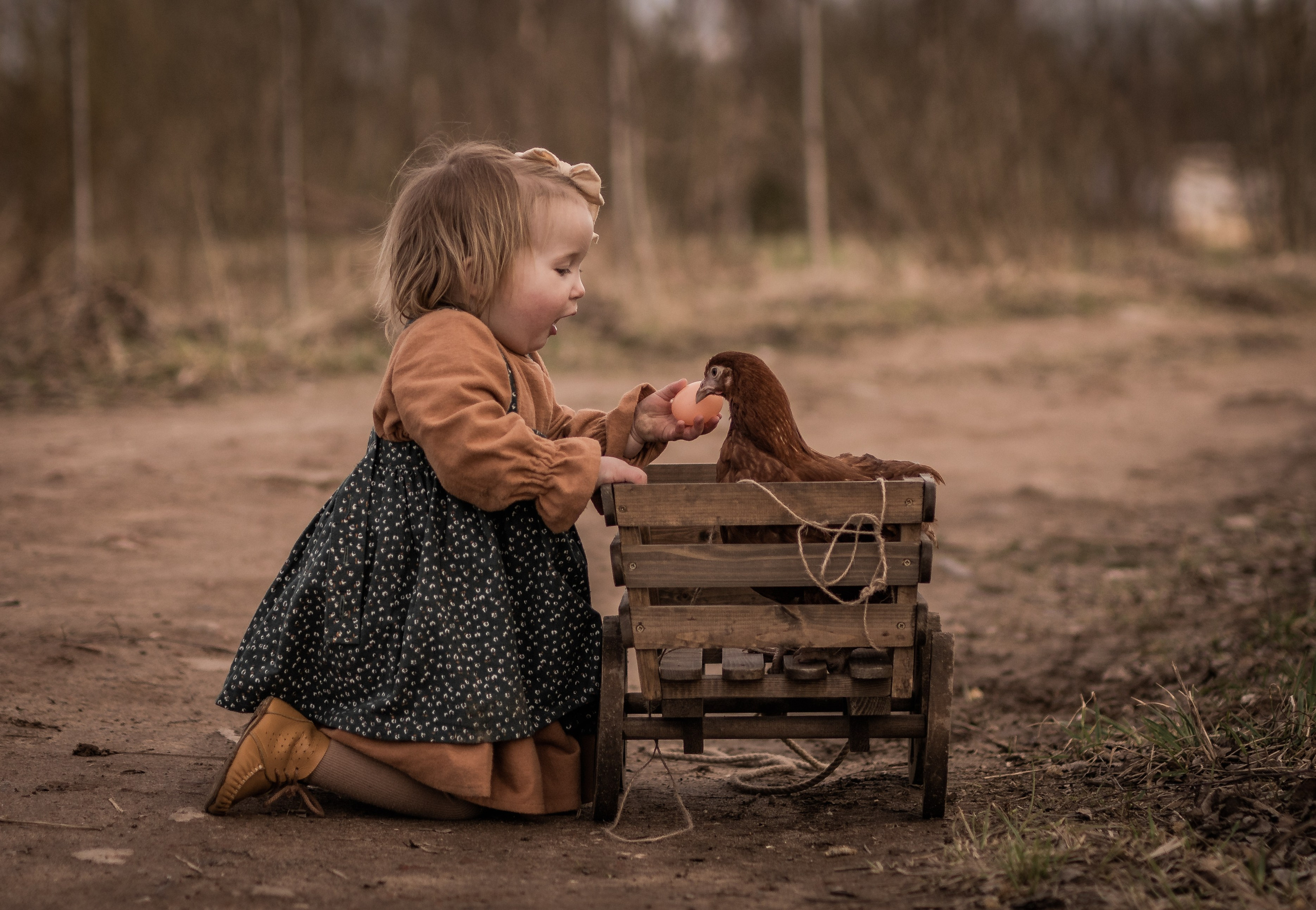 Куриная история. Семейный фотограф Ефремова Виктория