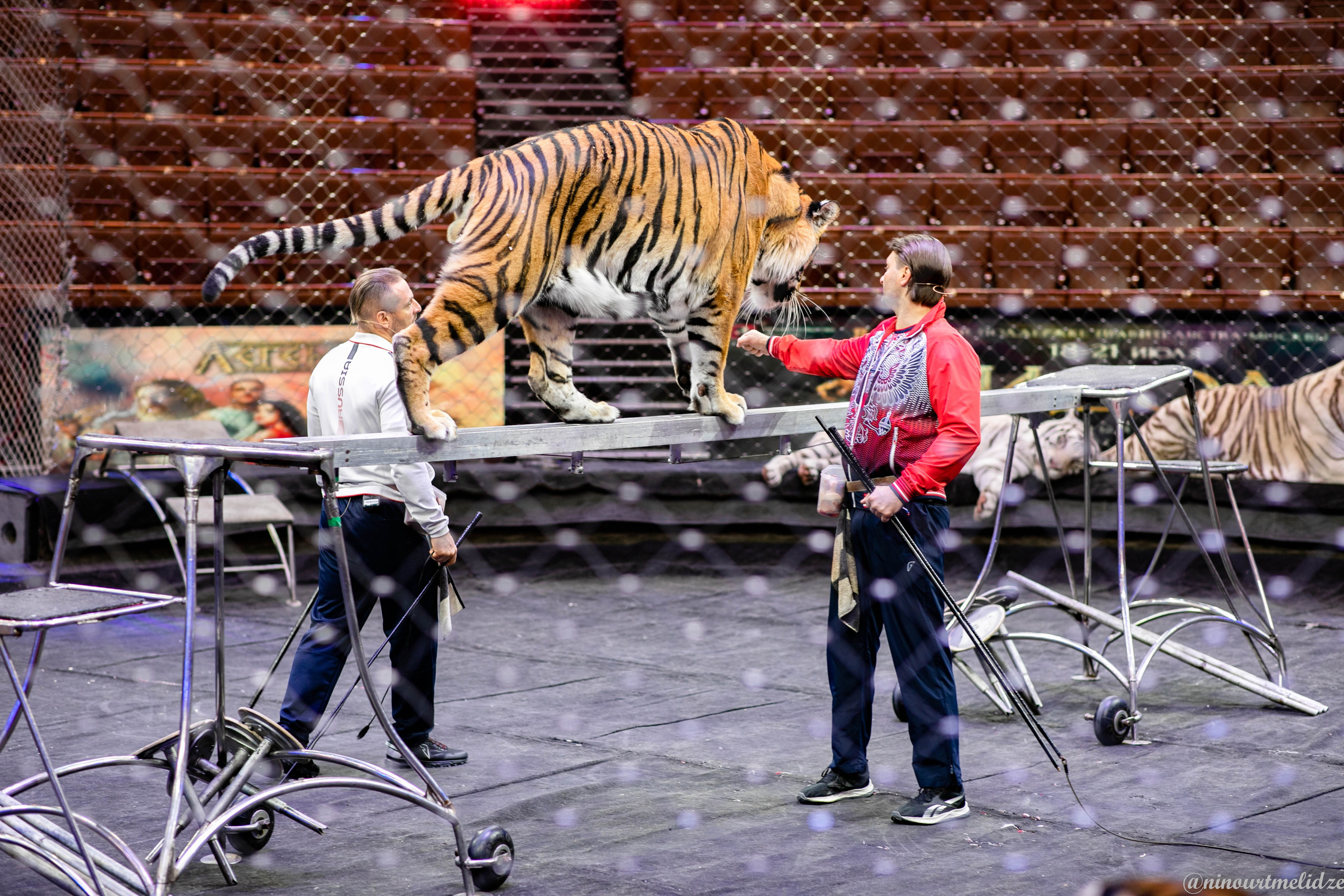 В закулисье у братьев Запашных. Art photographer Nino