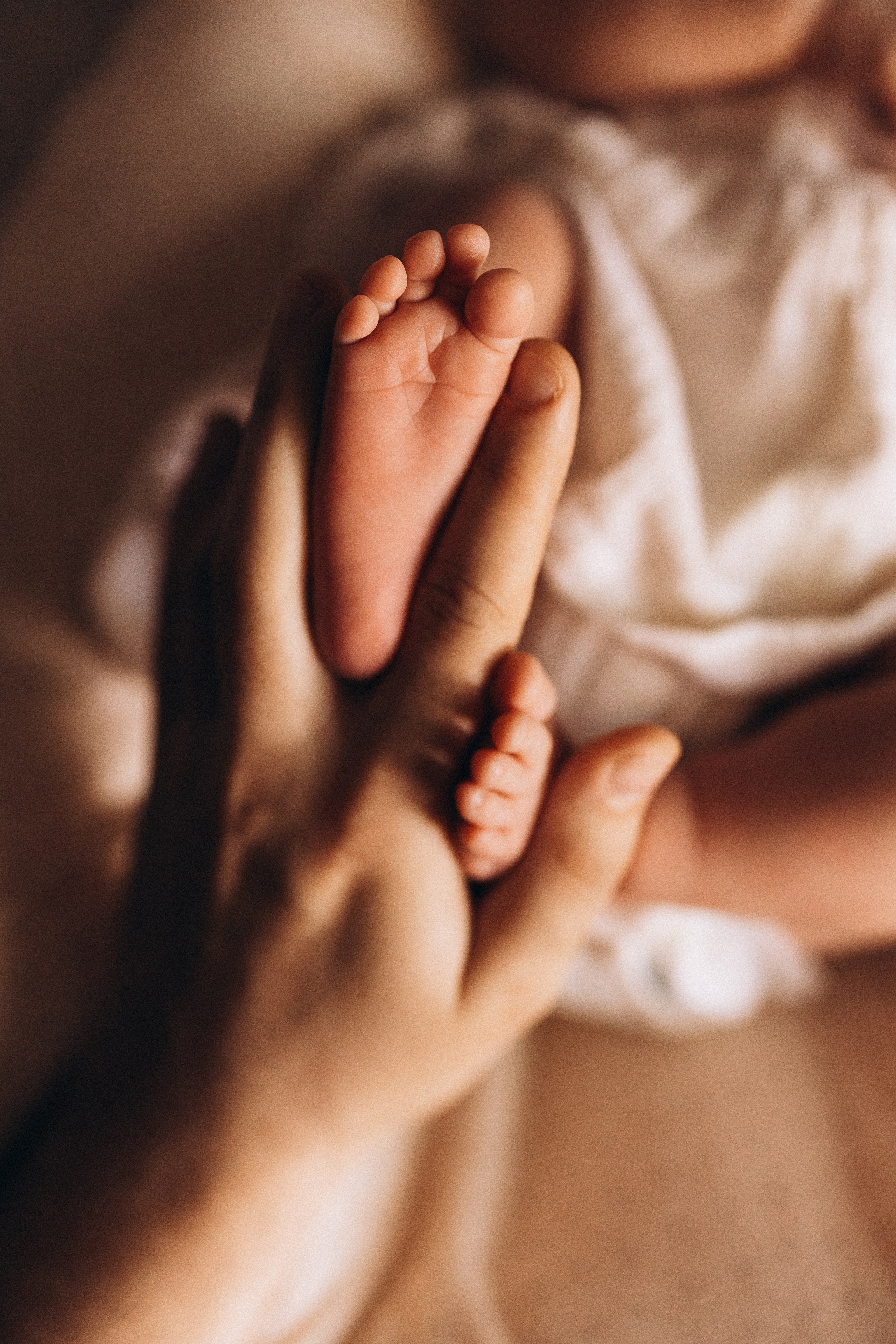 Василиса. Евгения Пелипас