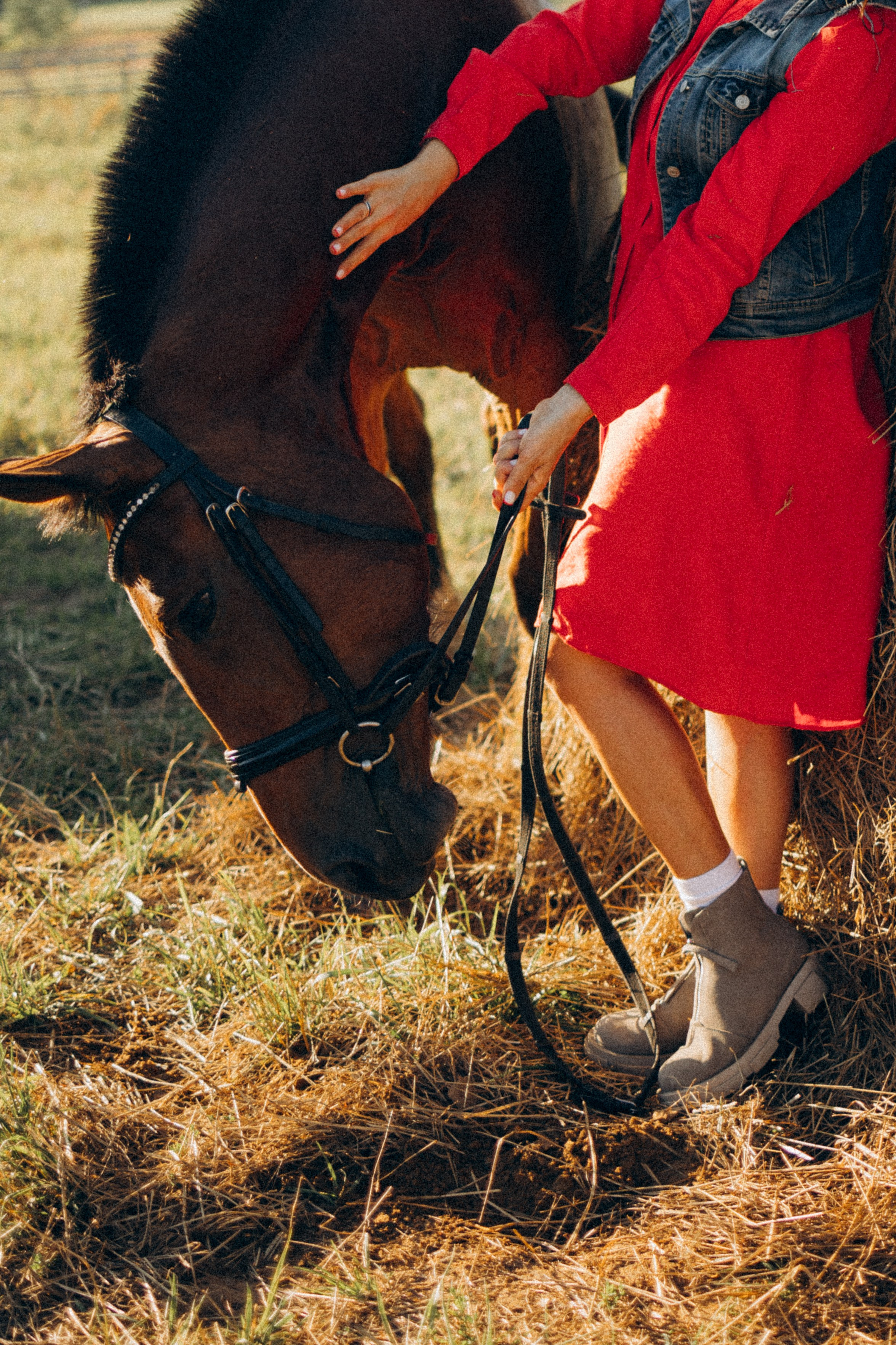 А в деревни лошади. Фотограф Москва Светлана Кирюшина