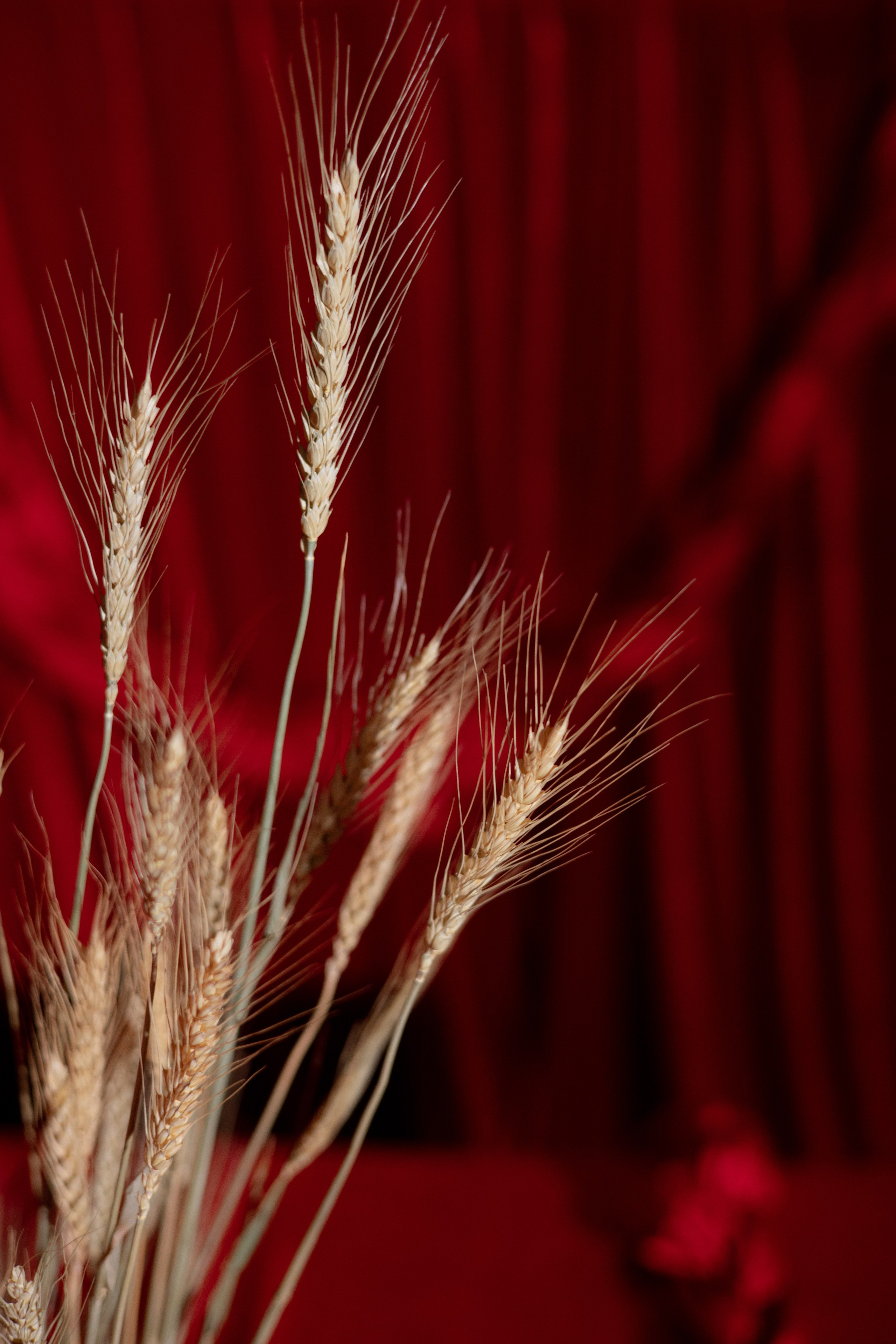 Новогодний корпоратив в фольклорном стиле. Особняк Лемана. Оформление свадеб, декор свадеб Вера Маркова, Москва