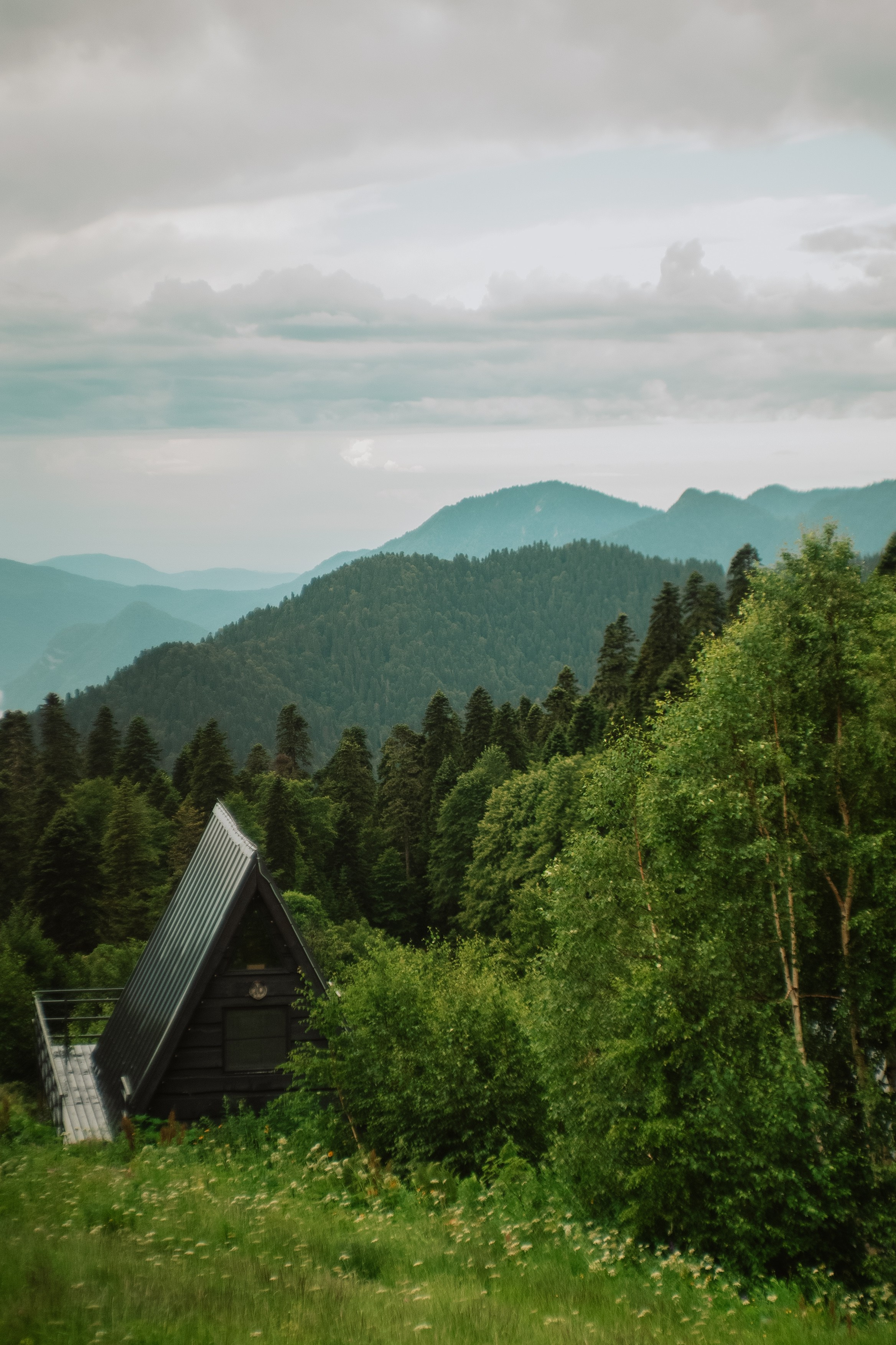 Нахазо ✽ Июль. Репортажный фотограф | Роза Хутор Красная Поляна Сочи Сириус