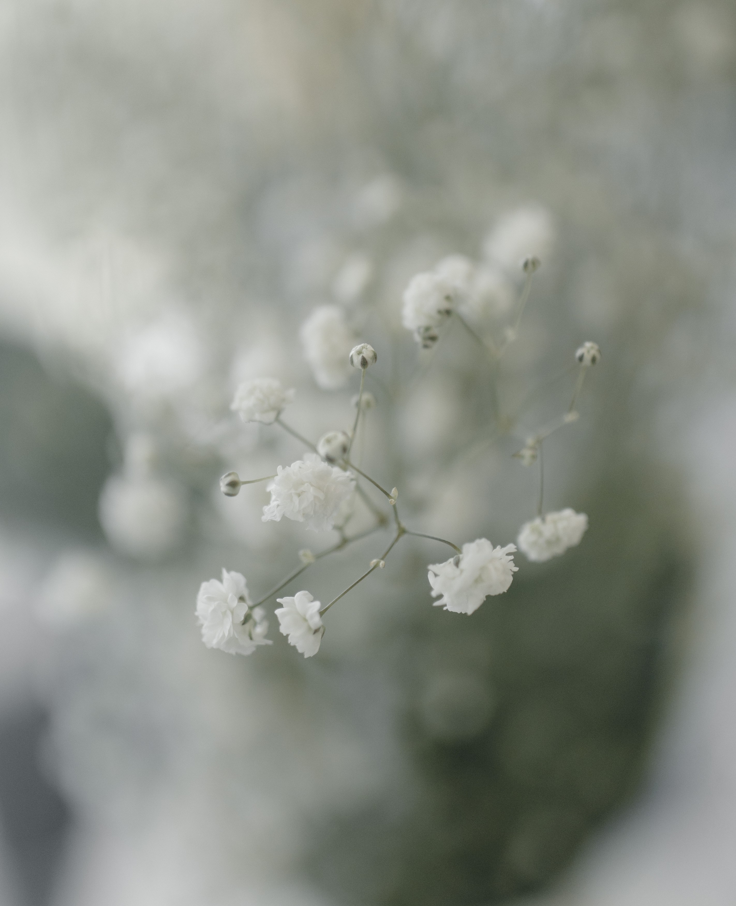 Nikita & Antonina. Оксана Вахидова Фотограф Кумертау, Уфа, Мелеуз, Салават