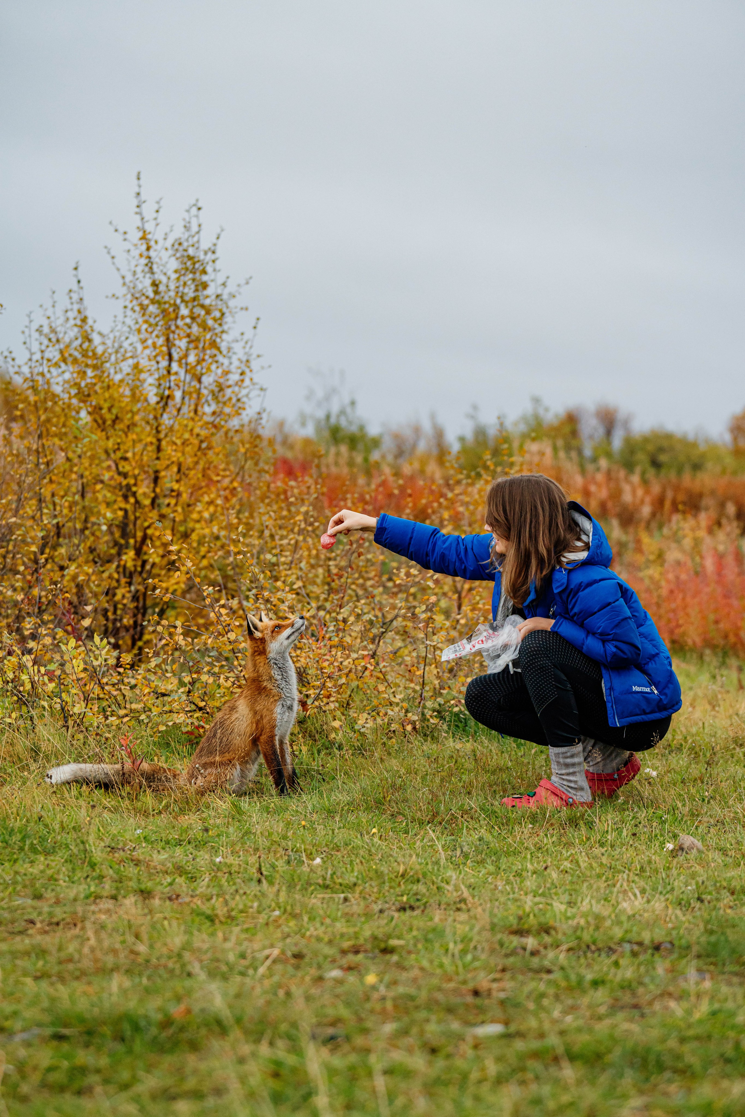 СЕВЕР. Event фотограф Степанова Александра