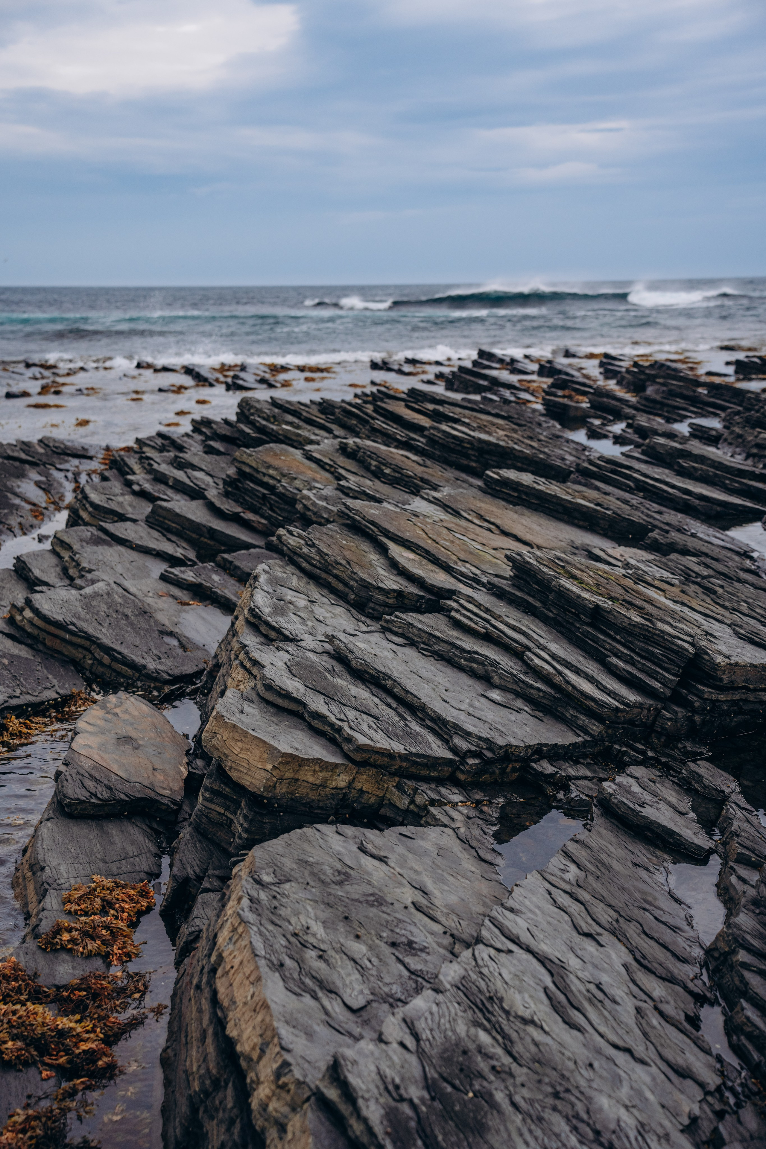 СЕВЕР. Event фотограф Степанова Александра