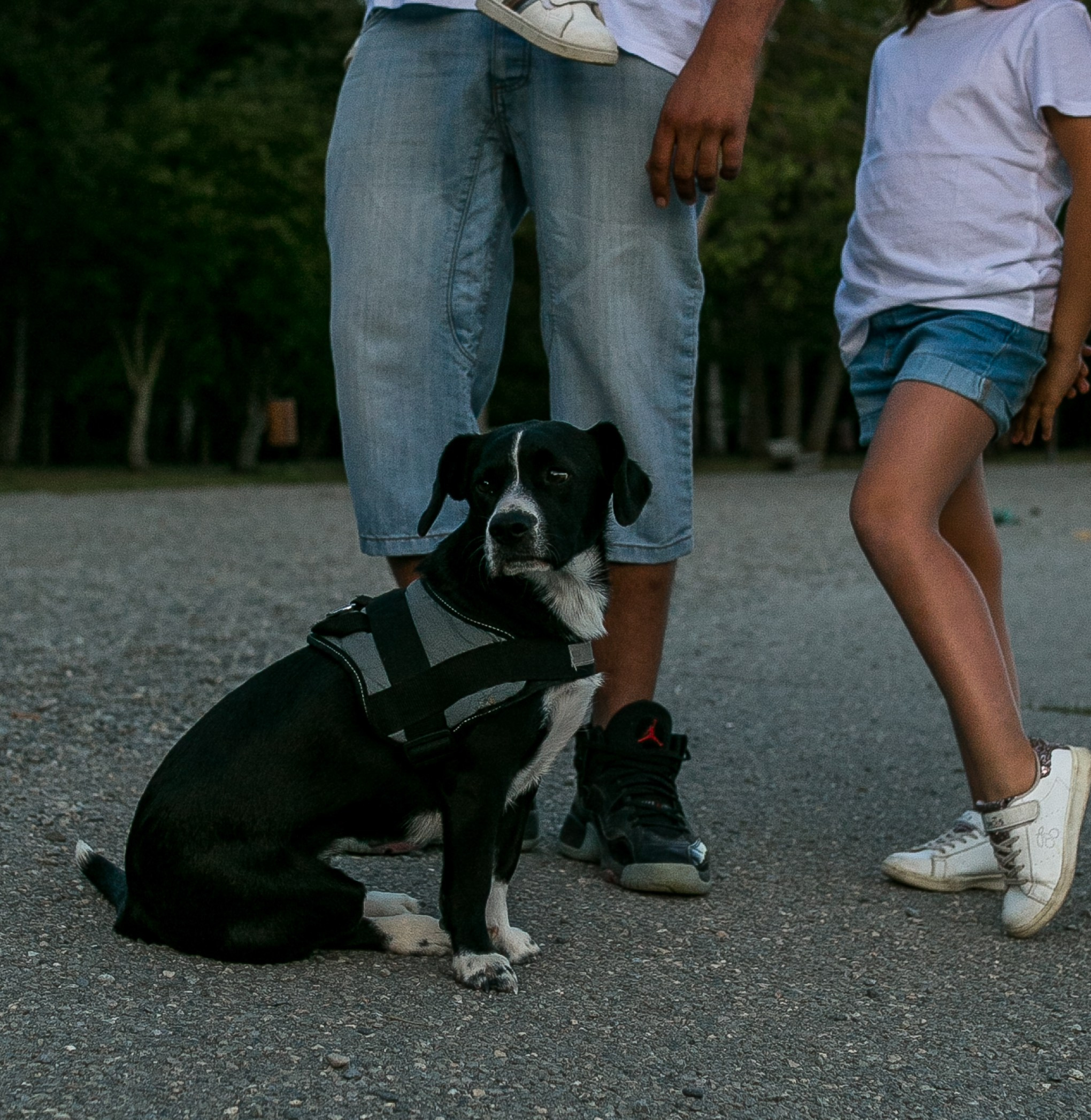 Стив, Шарли, Каро, Тэа, Нора