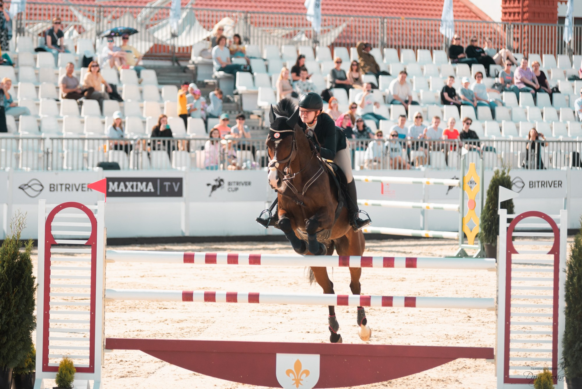 BITRIVER CUP 2023. Конный фотограф Куракина Дарья • Фотосессии с лошадьми