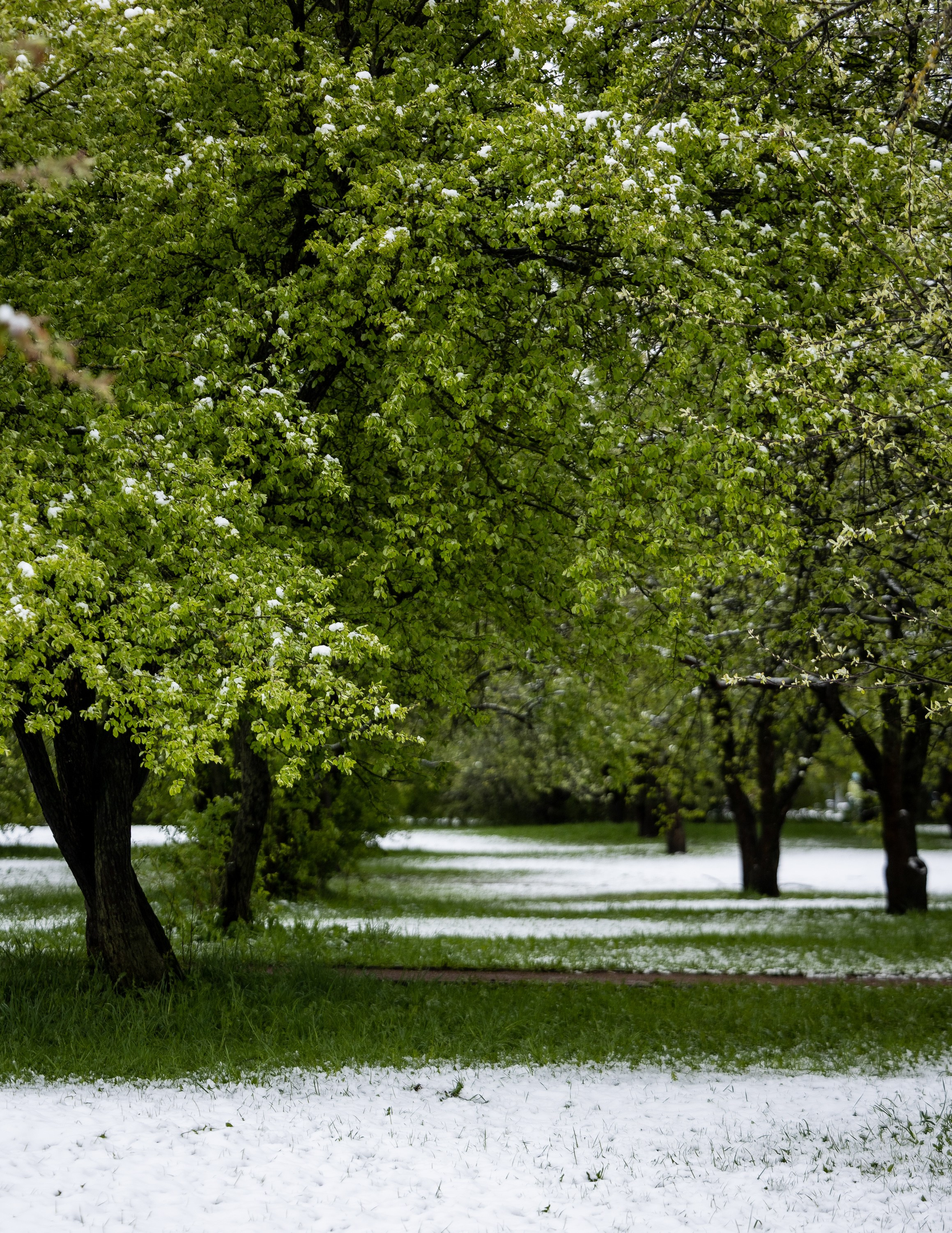 Городской пейзаж. Фотограф Владимир Охрименко