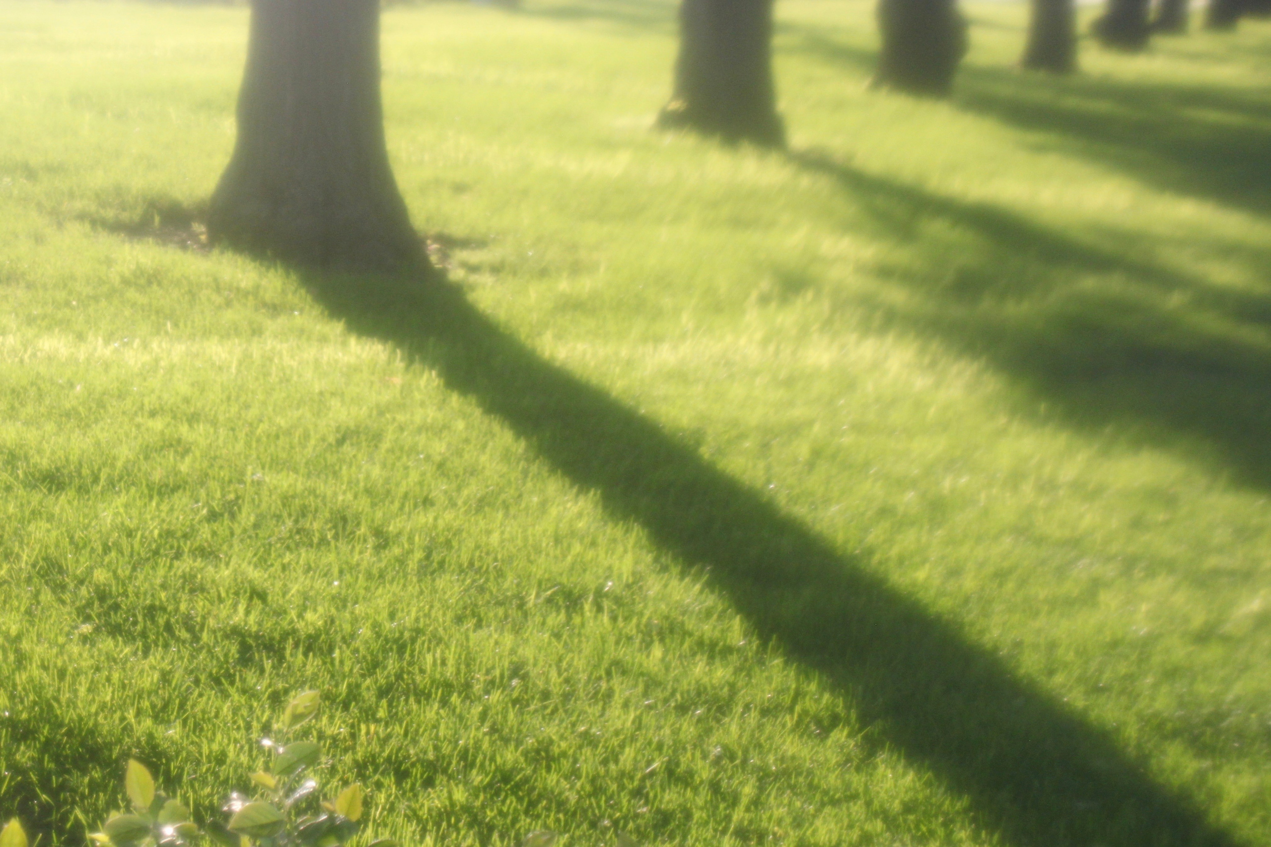 My beautiful days / Moscow 2024. POLINA MÔMOT