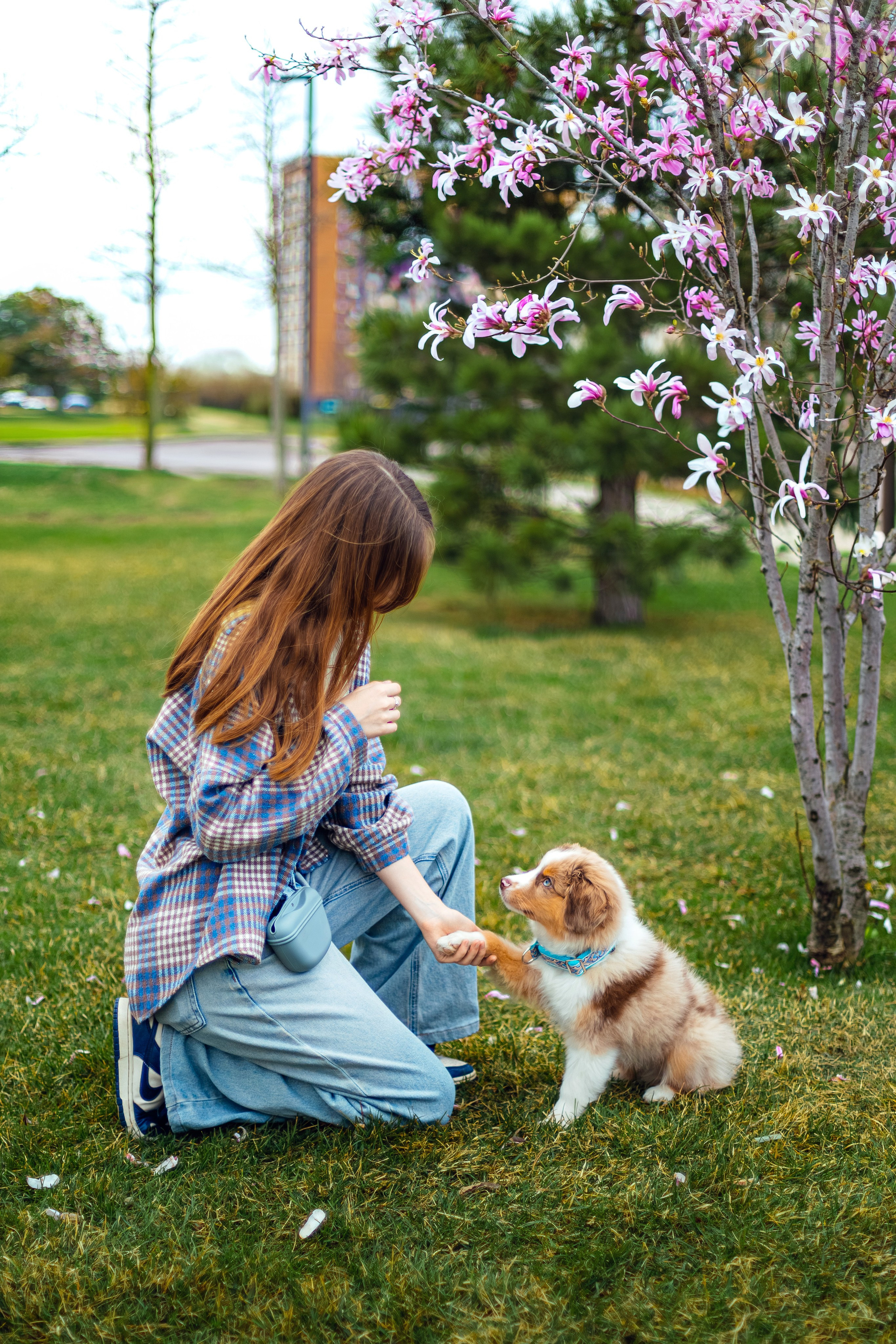 Фотопрогулка. Фотограф Марина Верятинская | Краснодар