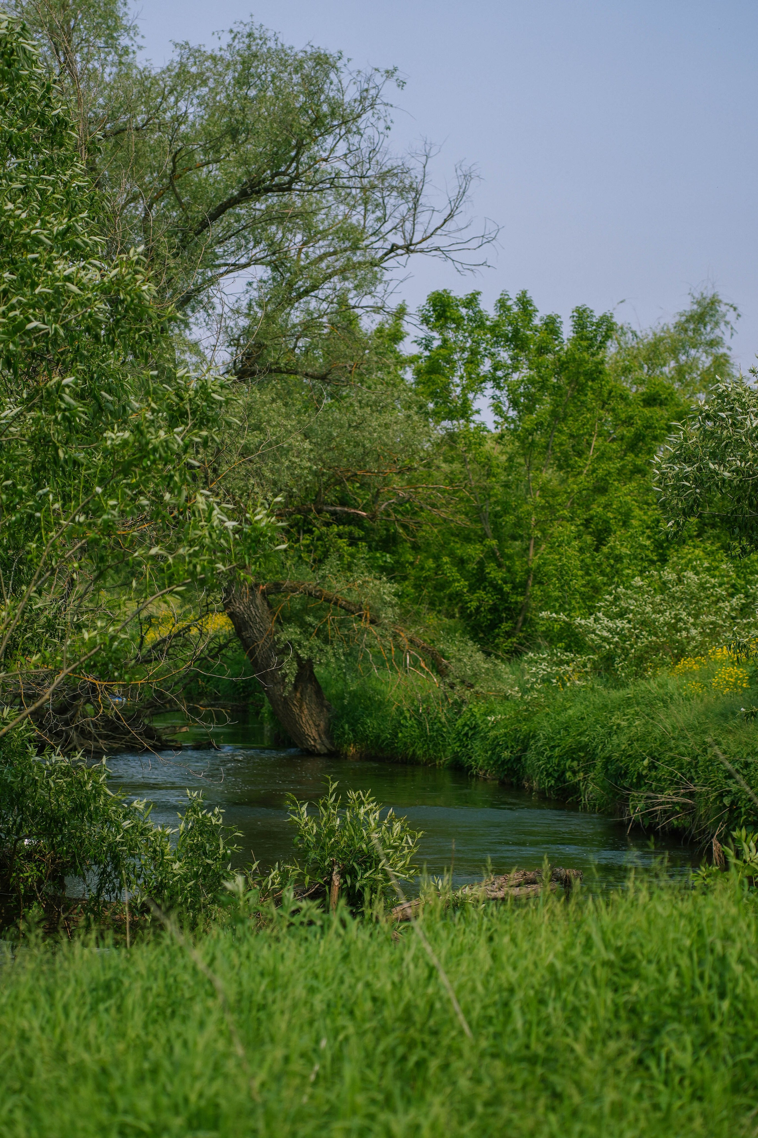 RGA Kids. Andrew firioubine • iamfirioubine