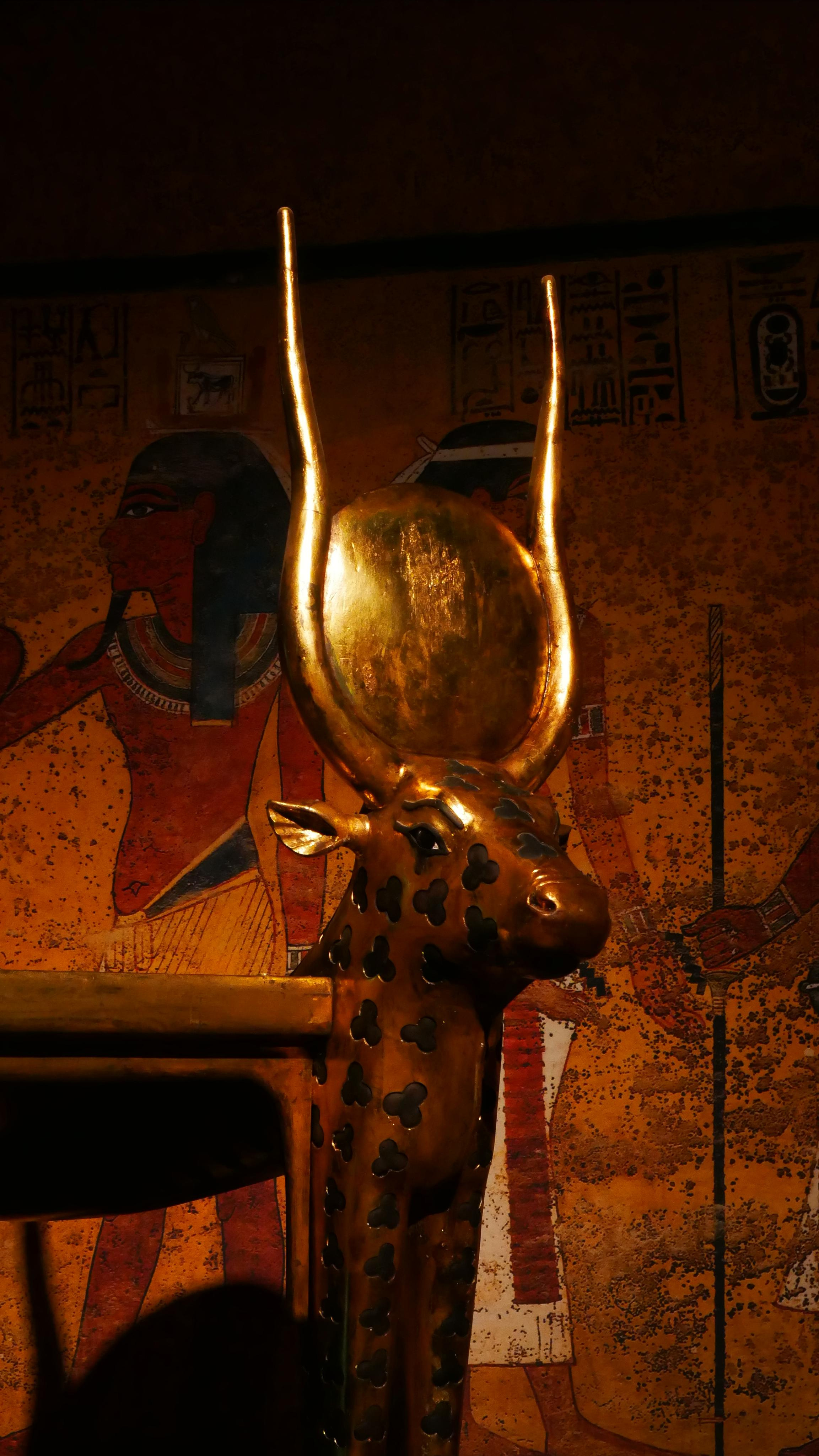 Egyptian exhibition. Ваш любимый фотограф