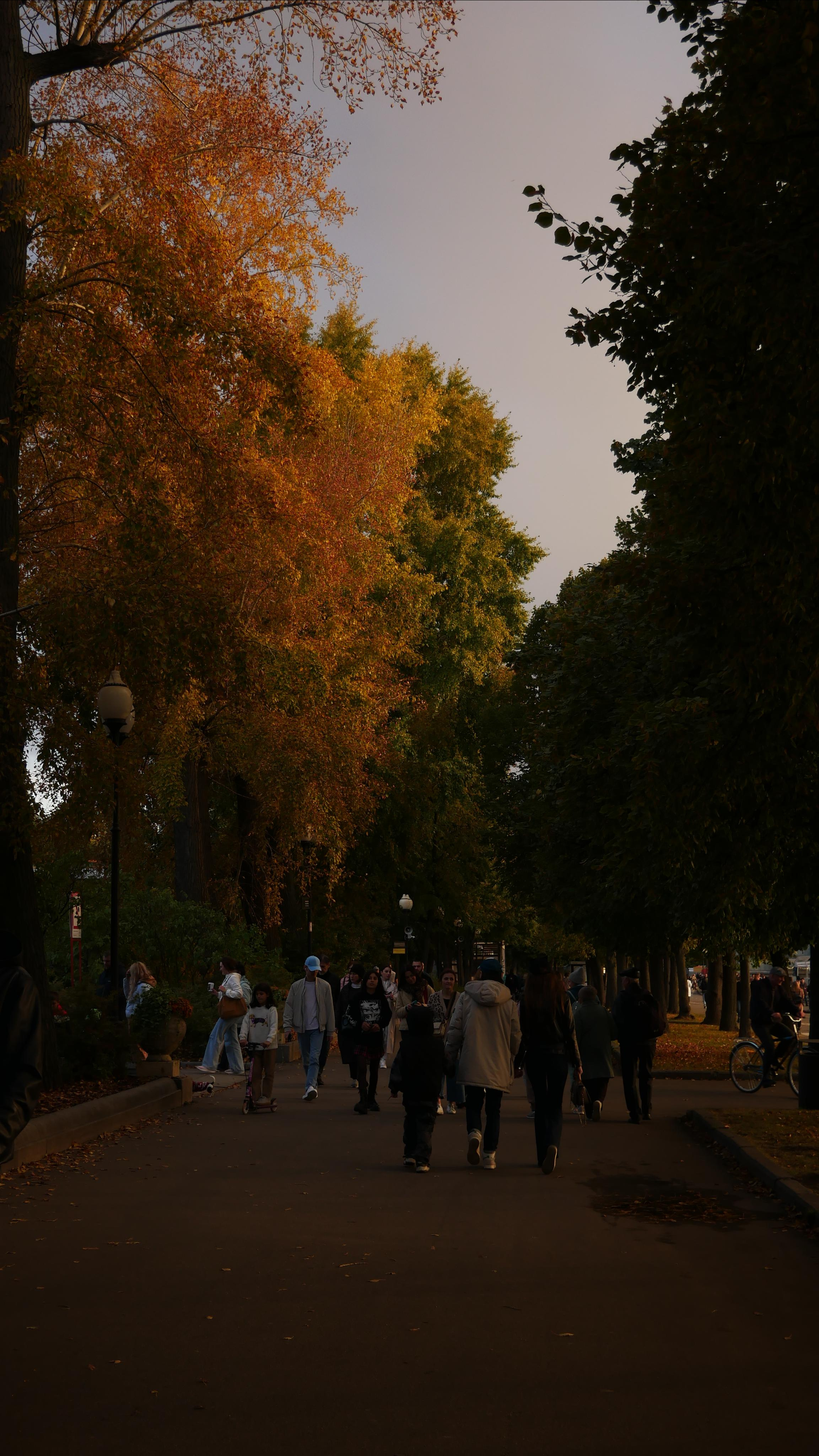 Moscow. Ваш любимый фотограф