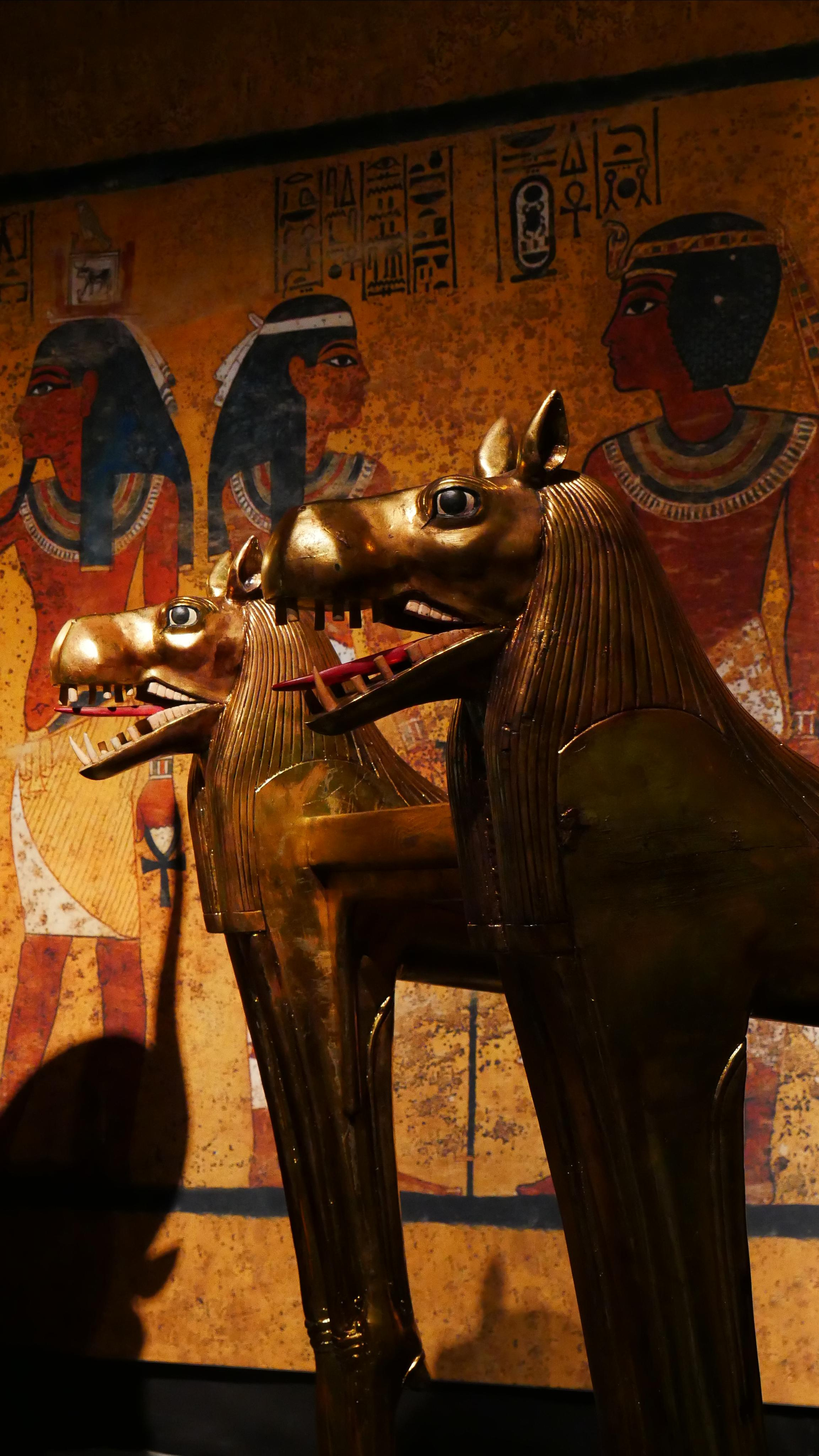 Egyptian exhibition. Ваш любимый фотограф