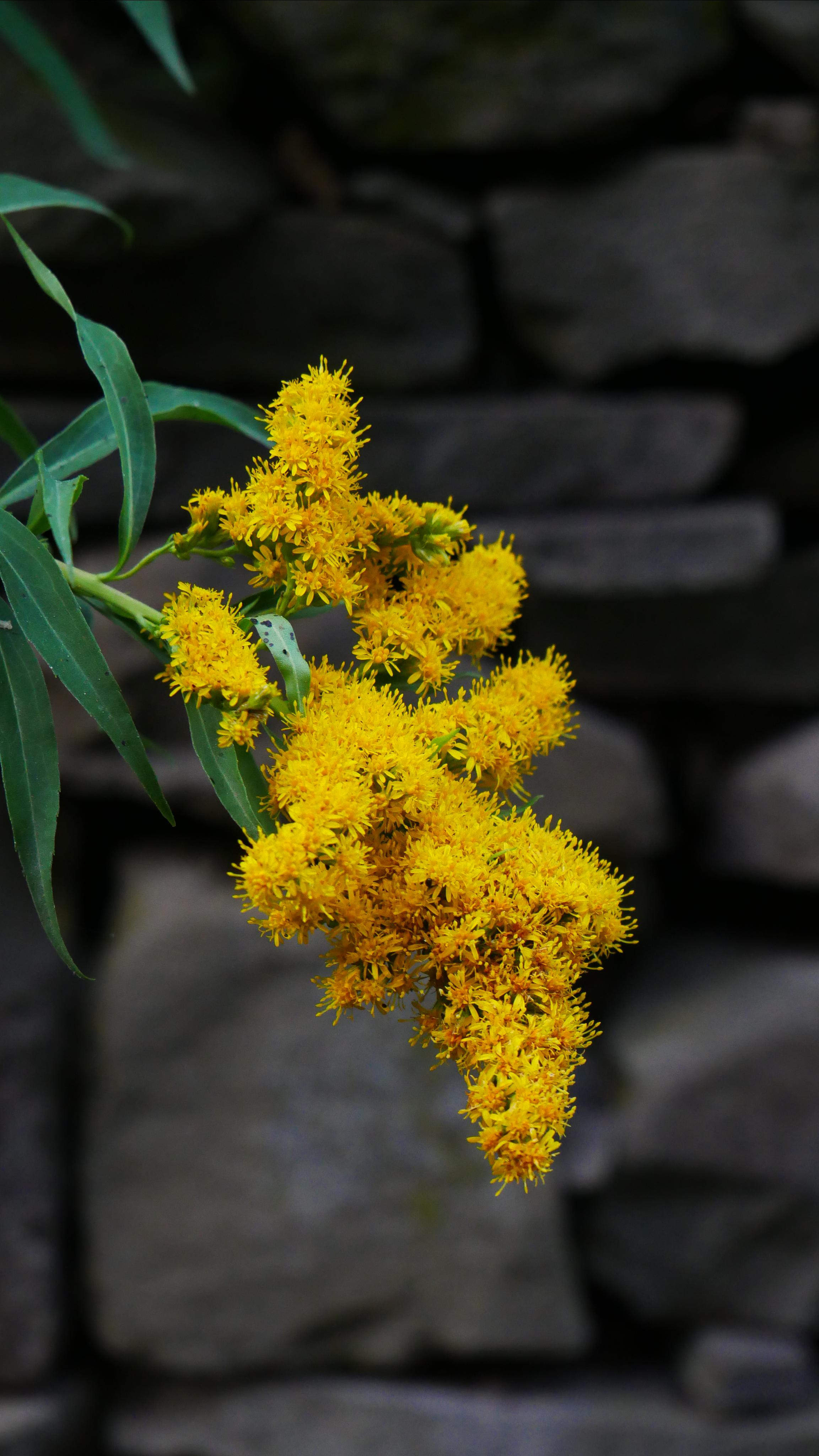 Kubachi. Ваш любимый фотограф