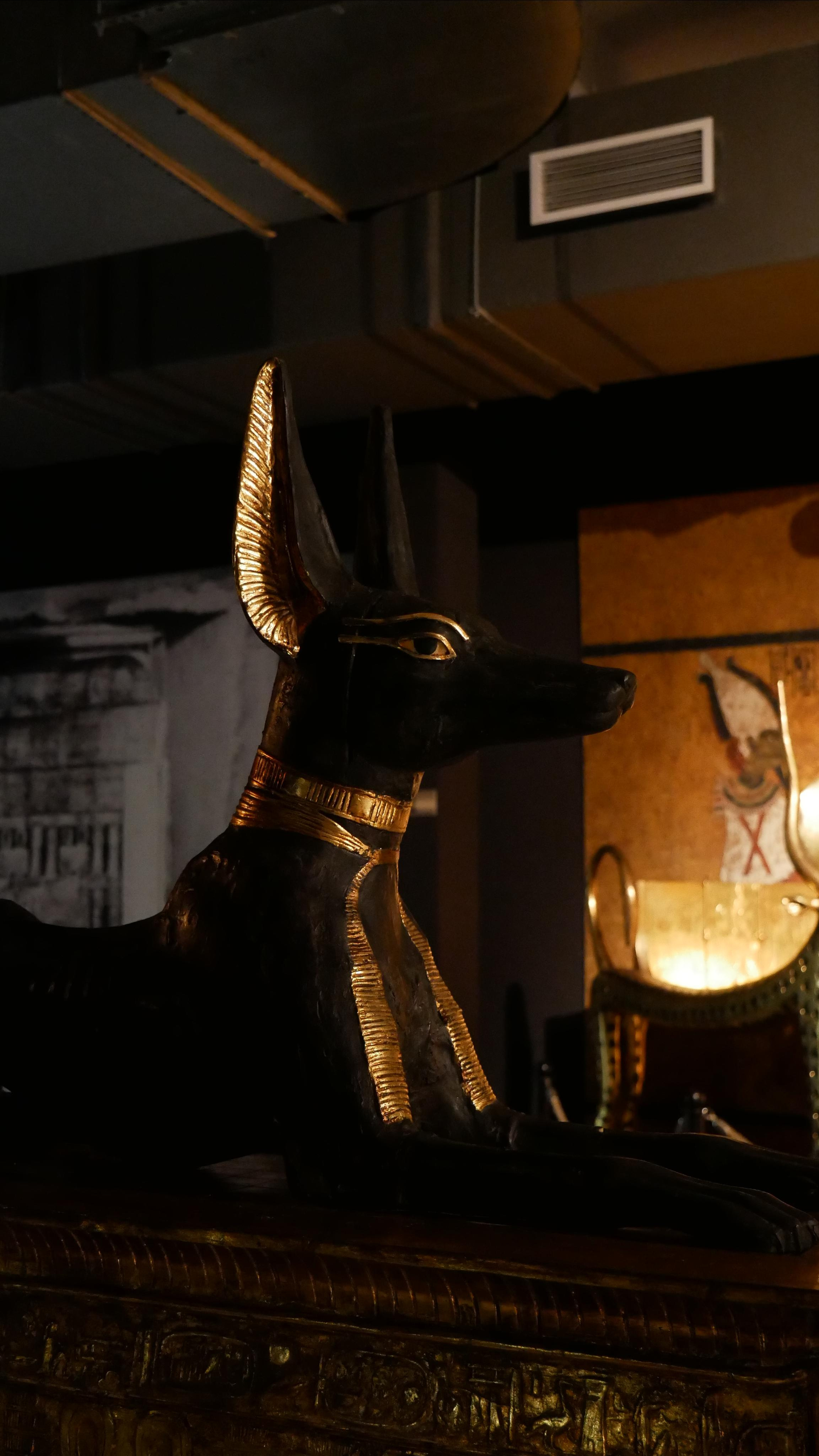 Egyptian exhibition. Ваш любимый фотограф