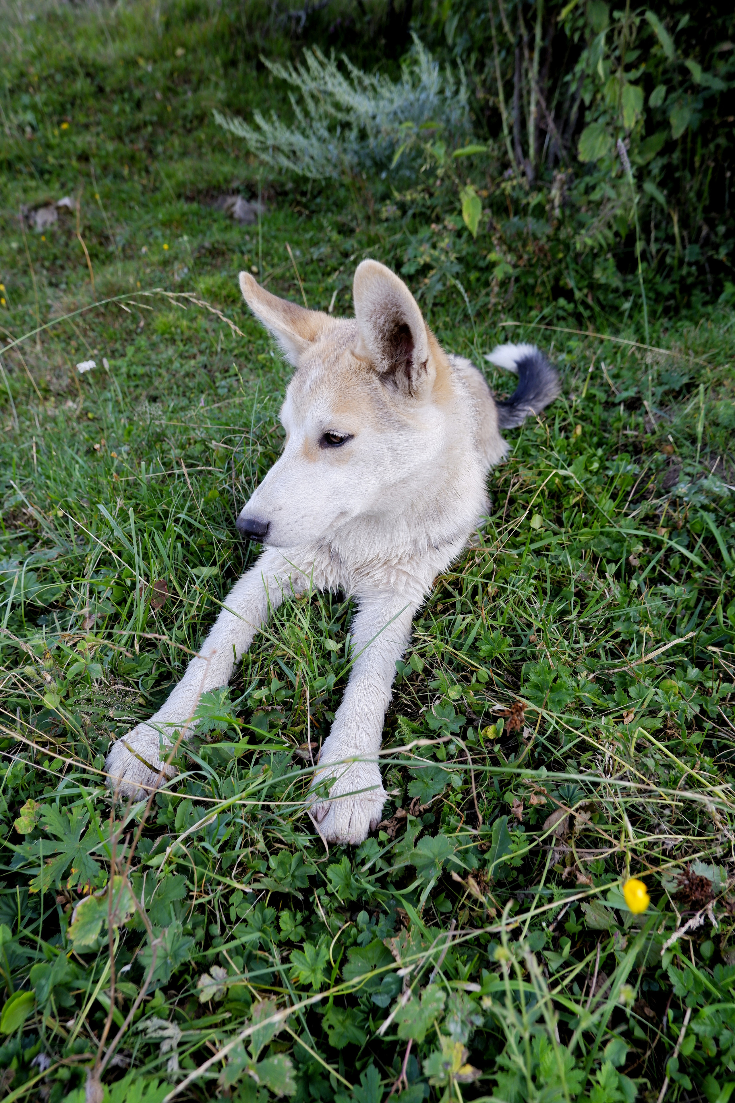 Animals. Ваш любимый фотограф