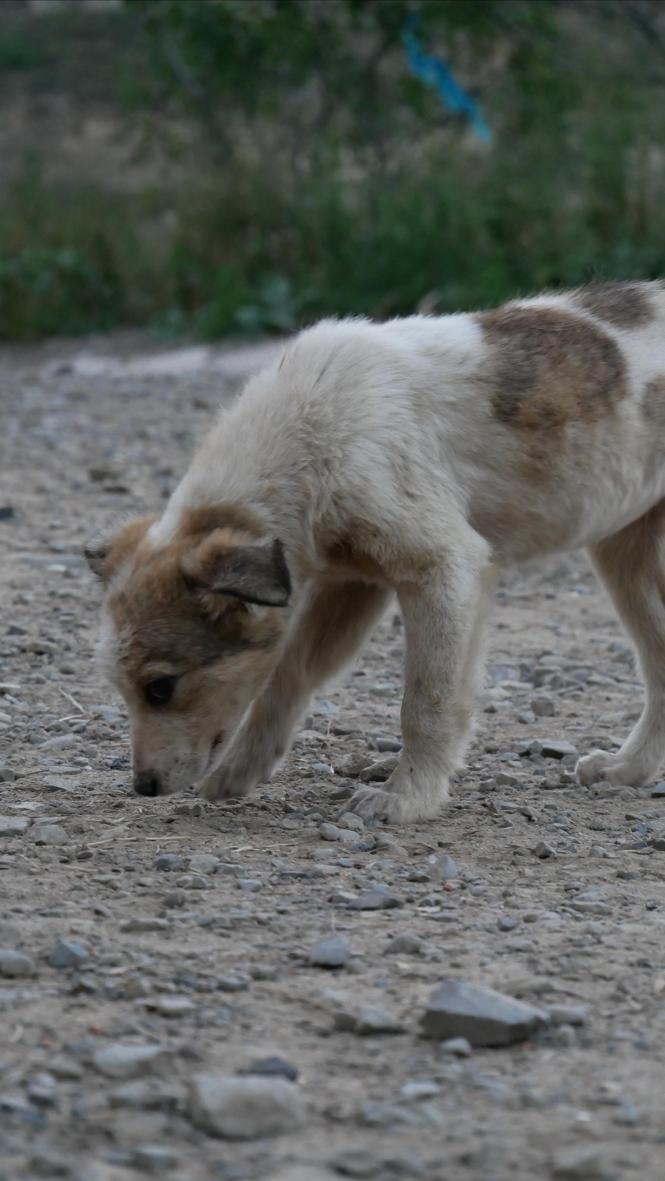 Animals. Ваш любимый фотограф